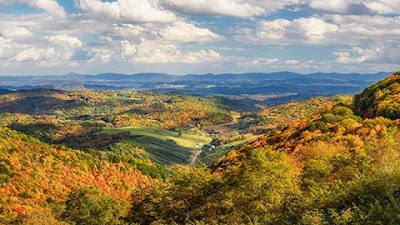 Lynch Legal Services, PLLC