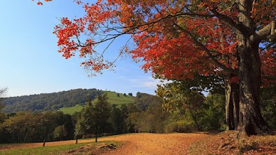 The Law Office of William Harville