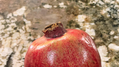 Walny Legal Group LLC