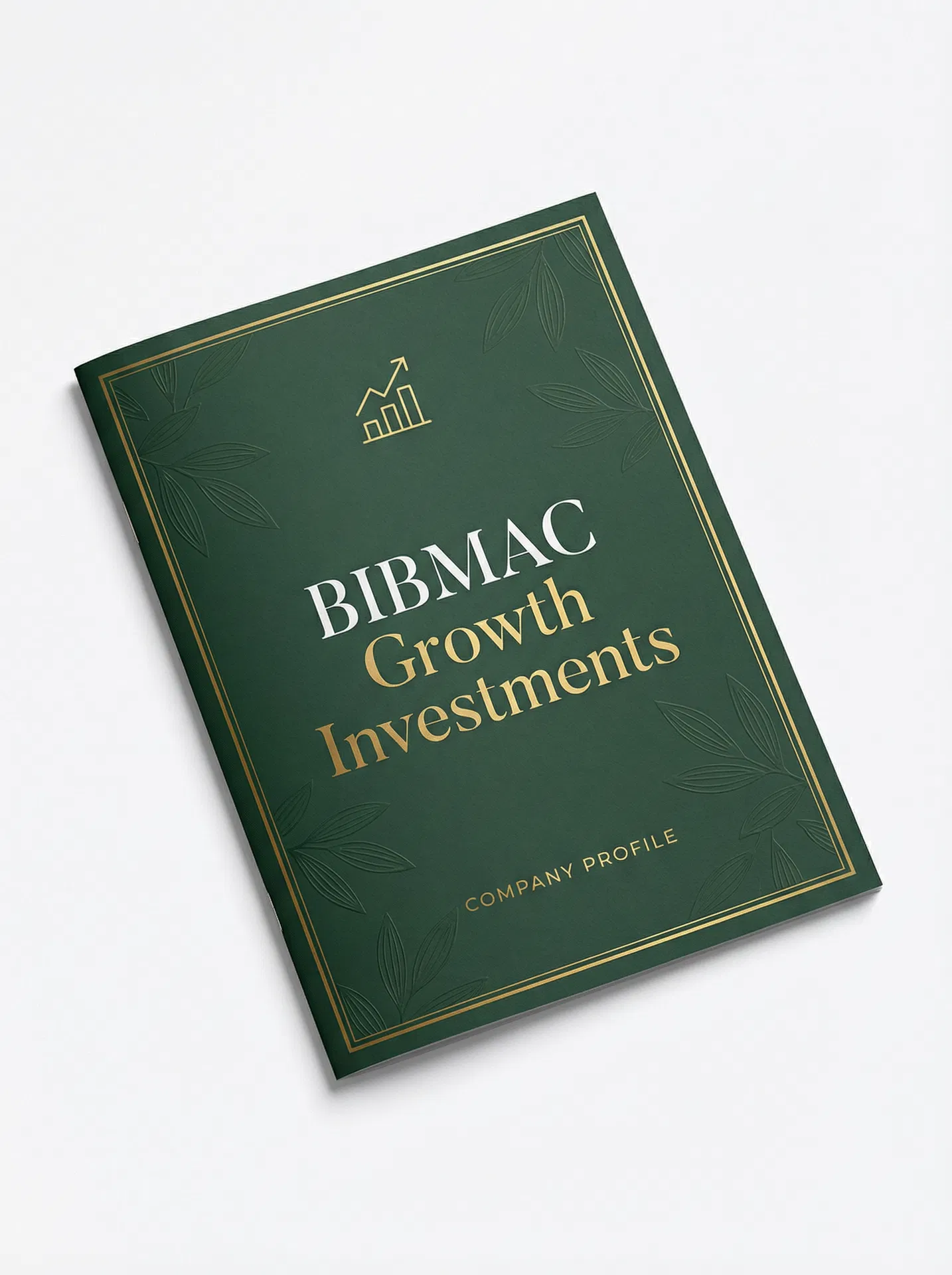 BIBMAC Growth Investments Company Profile Design