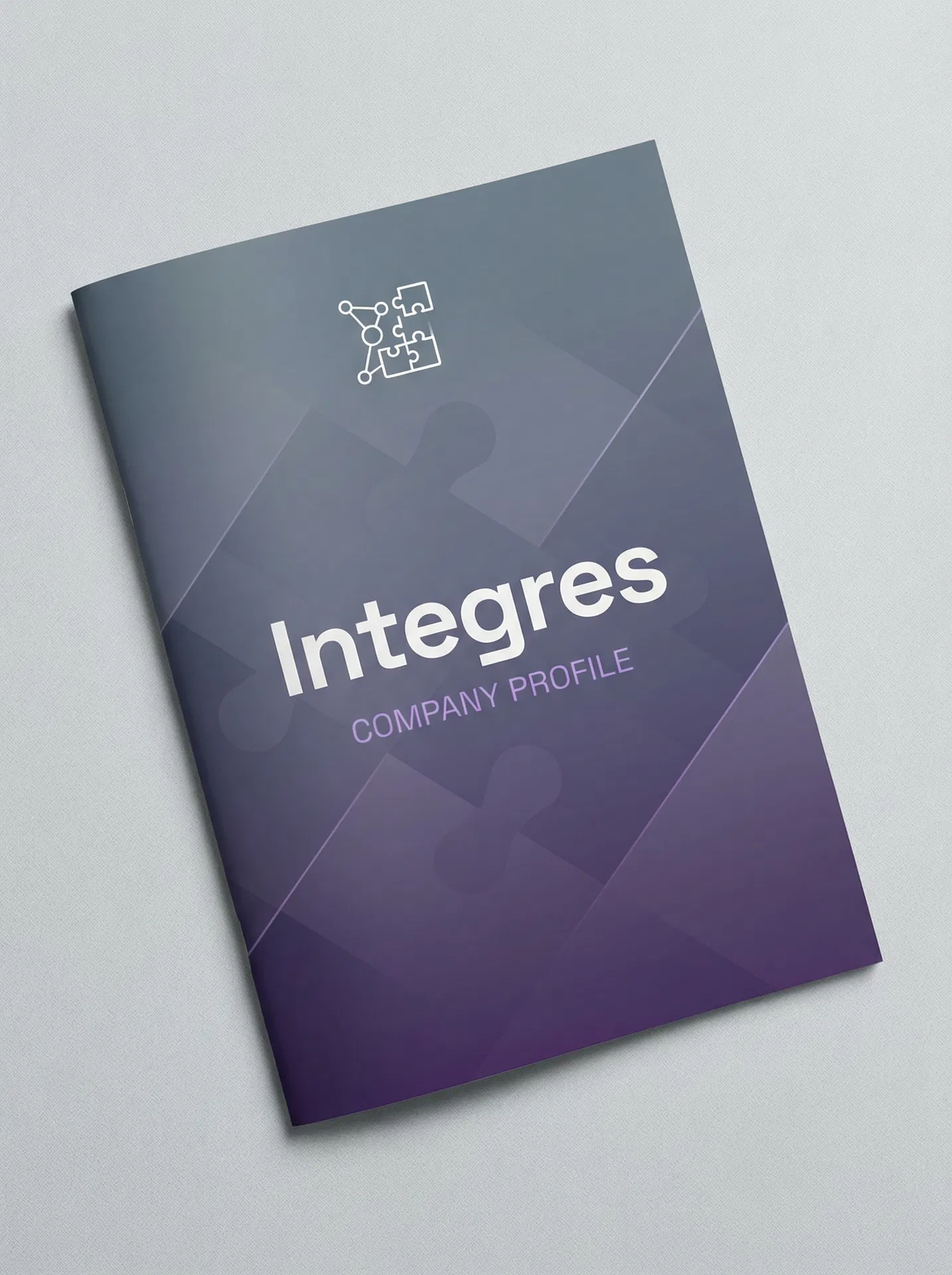 Integres Company Profile Design
