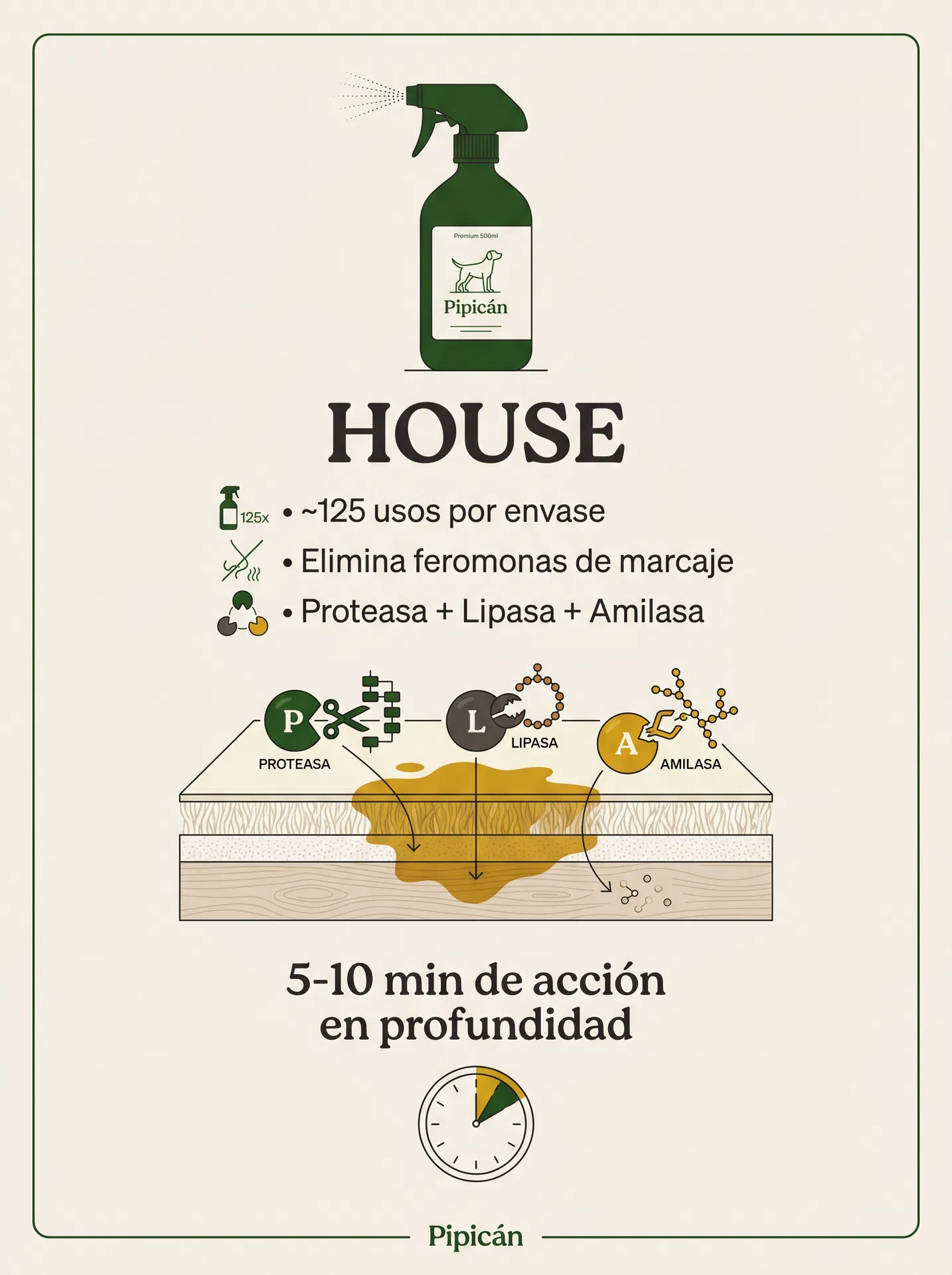 Infografía Pipicán House