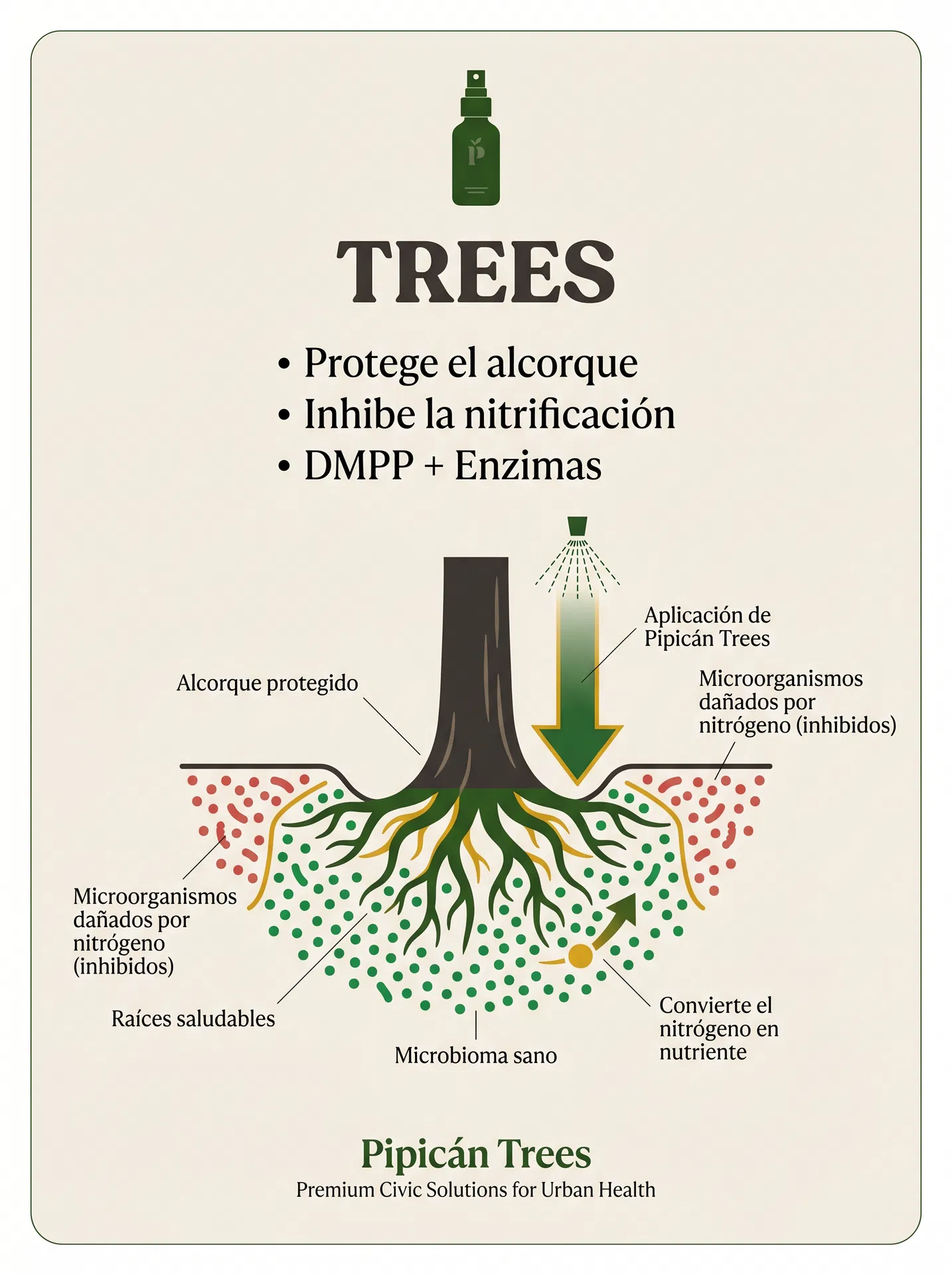 Infografía Pipicán Trees