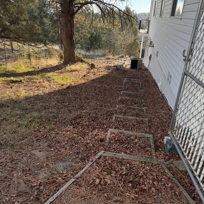 🔥 Pine Needle Removal for Defensible Space - Before