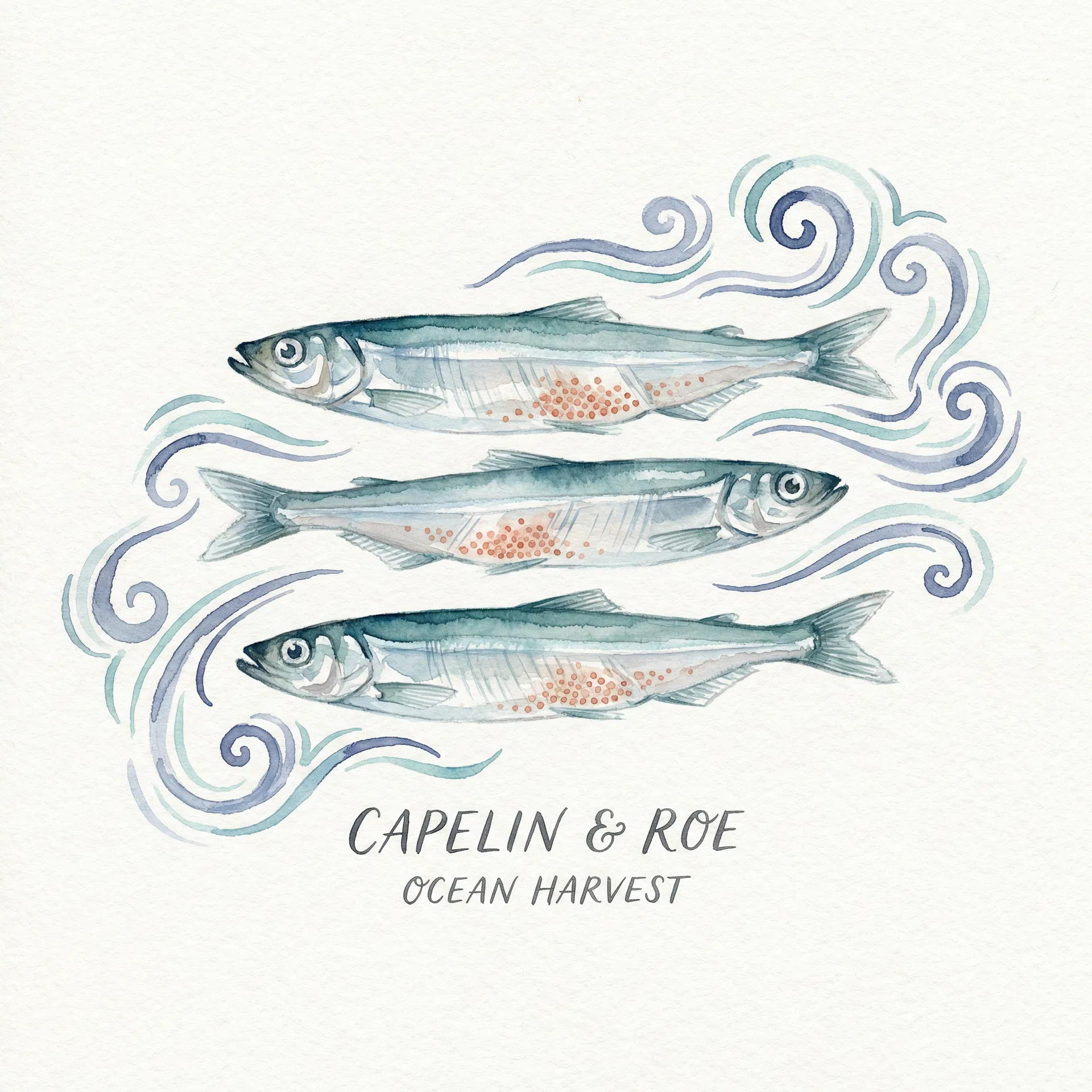 嚴選爆蛋柳葉魚