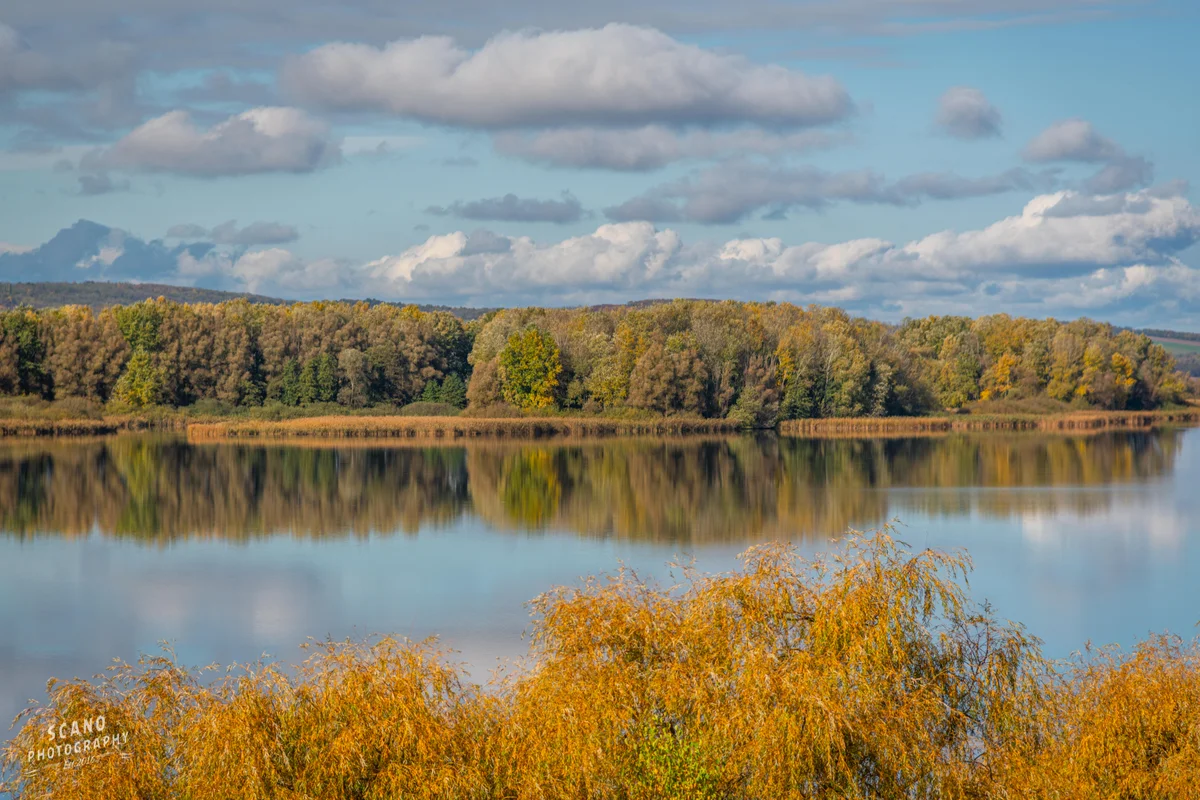 Kis-Balaton látnivalók – természet, túra, élmények