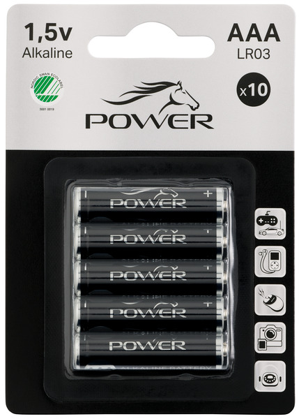 Power AAA LR03 Batteries 10-pack