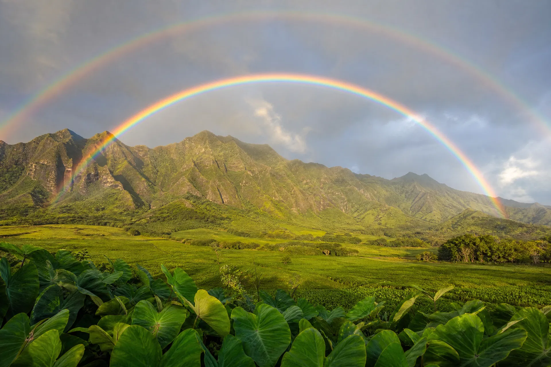 Rainbow over the Garden Island of Kauai