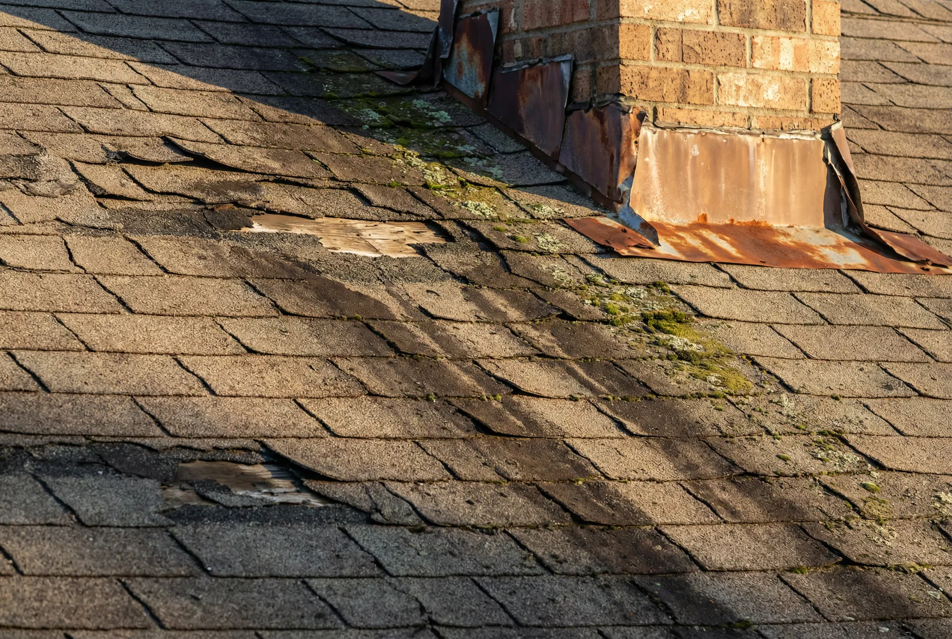 10 Signs Your Roof Needs Immediate Attention