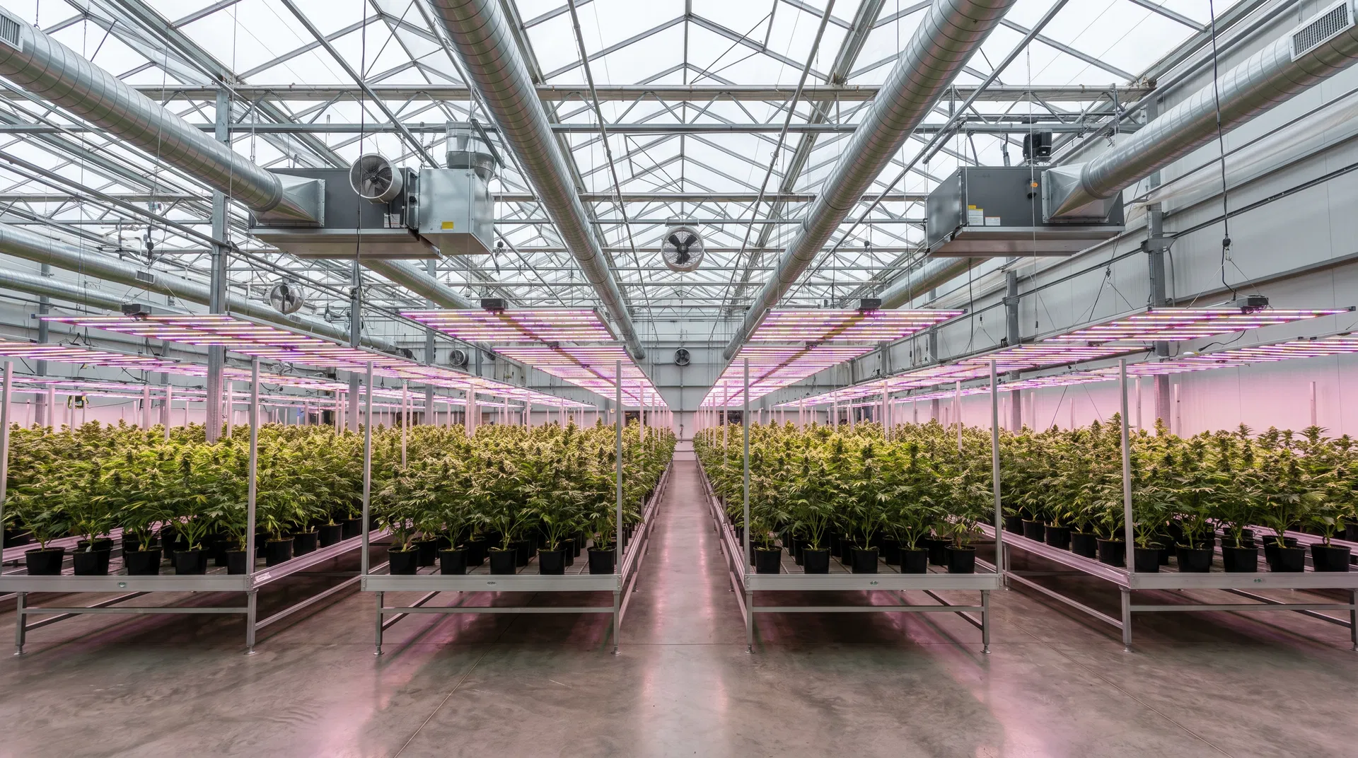 Cannabis Business Insurance in Oregon: Dispensaries, Growers, Processors & Delivery 2026
