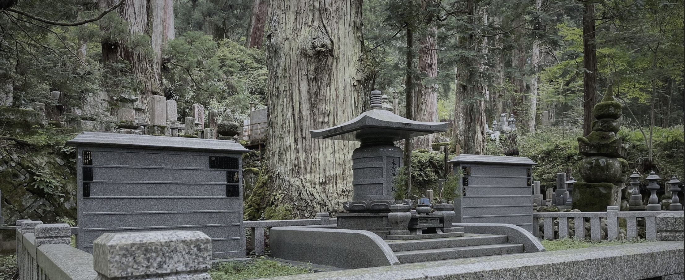 天鳳堂お問い合わせフォーム