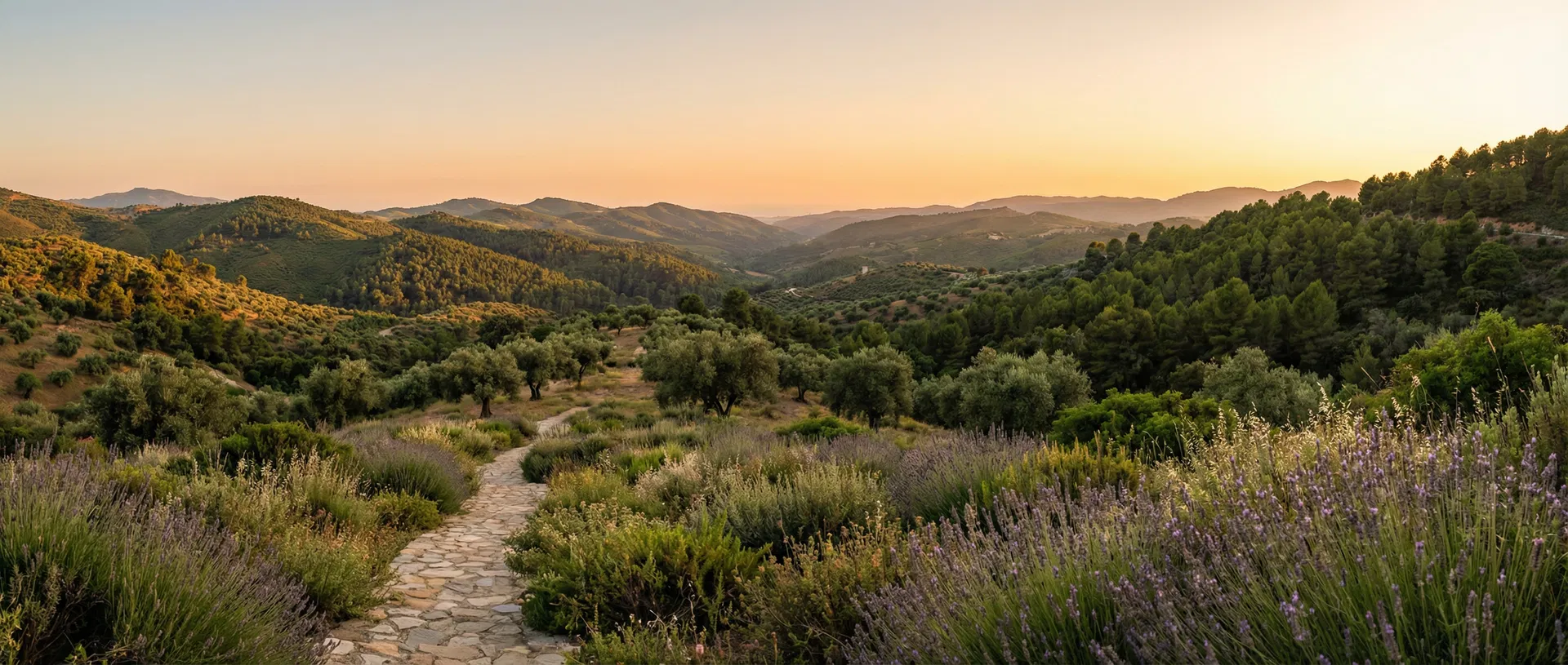 Panoramic view of the Málaga hills at golden hour