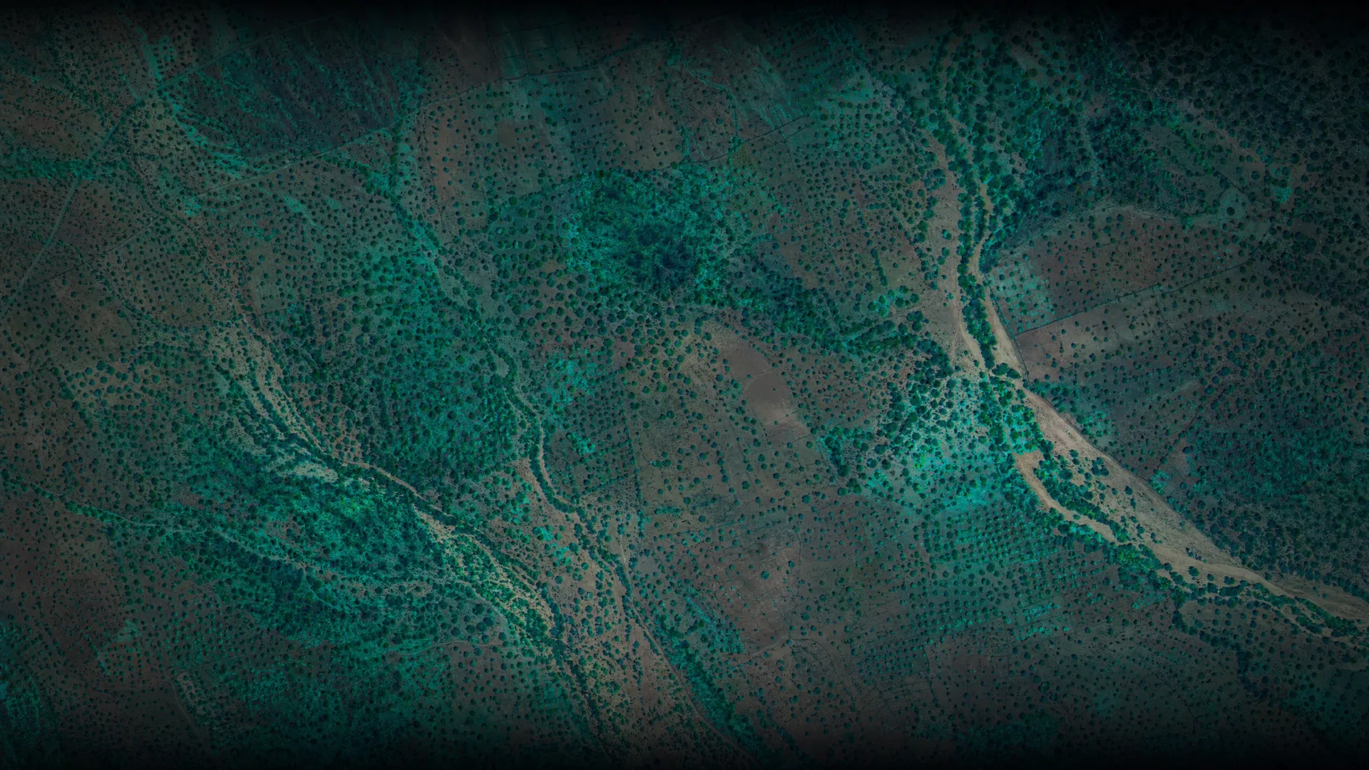 Satellite view of argan grove origin area