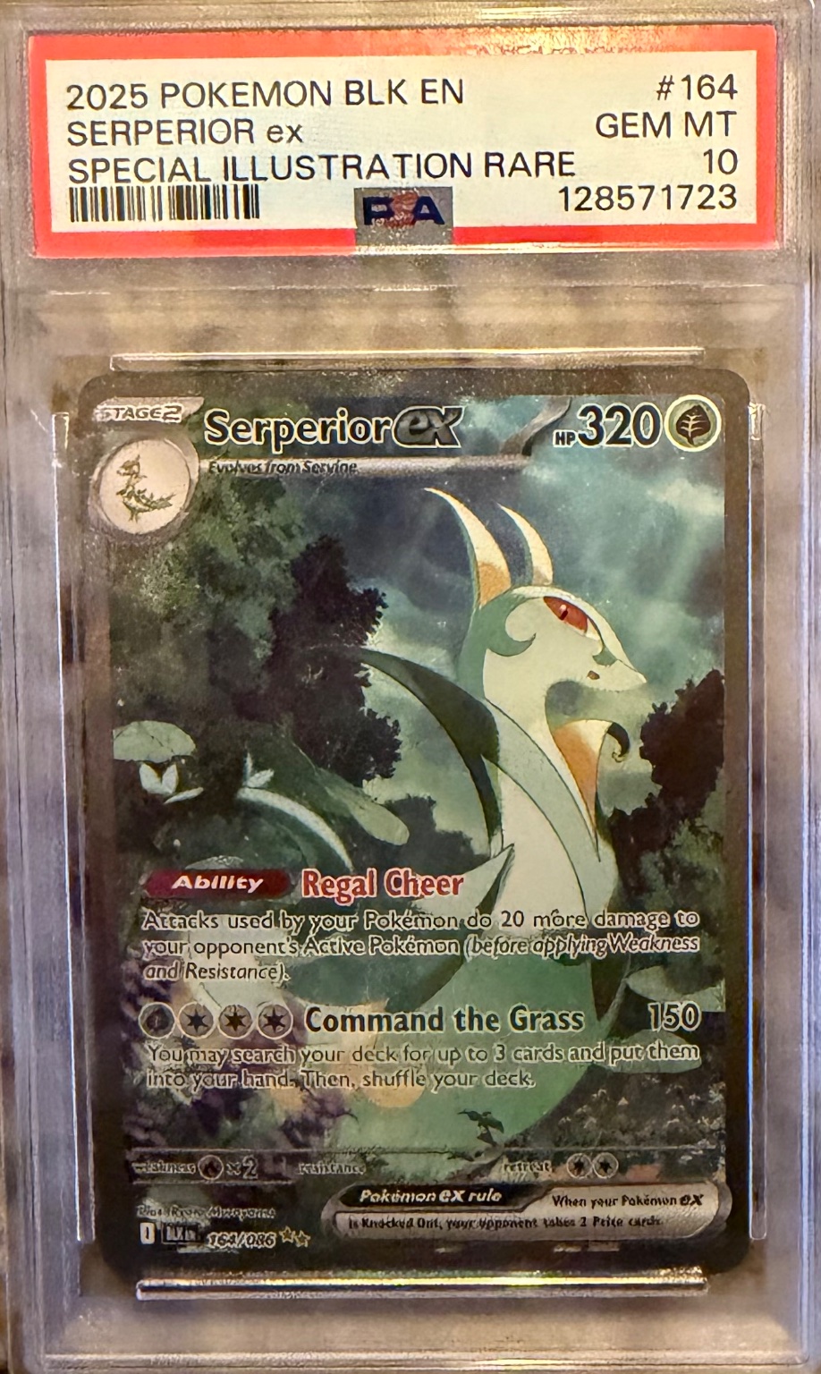 Serperior ex Special Illustration Rare Gem Mint - Trading Card Image