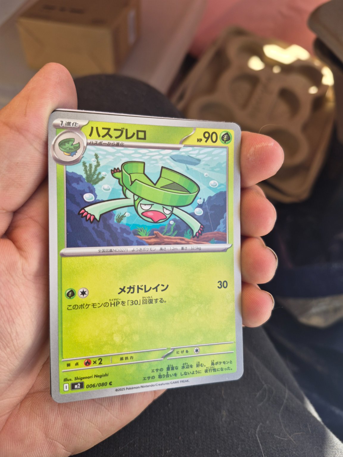 Ludicolo - Trading Card Image