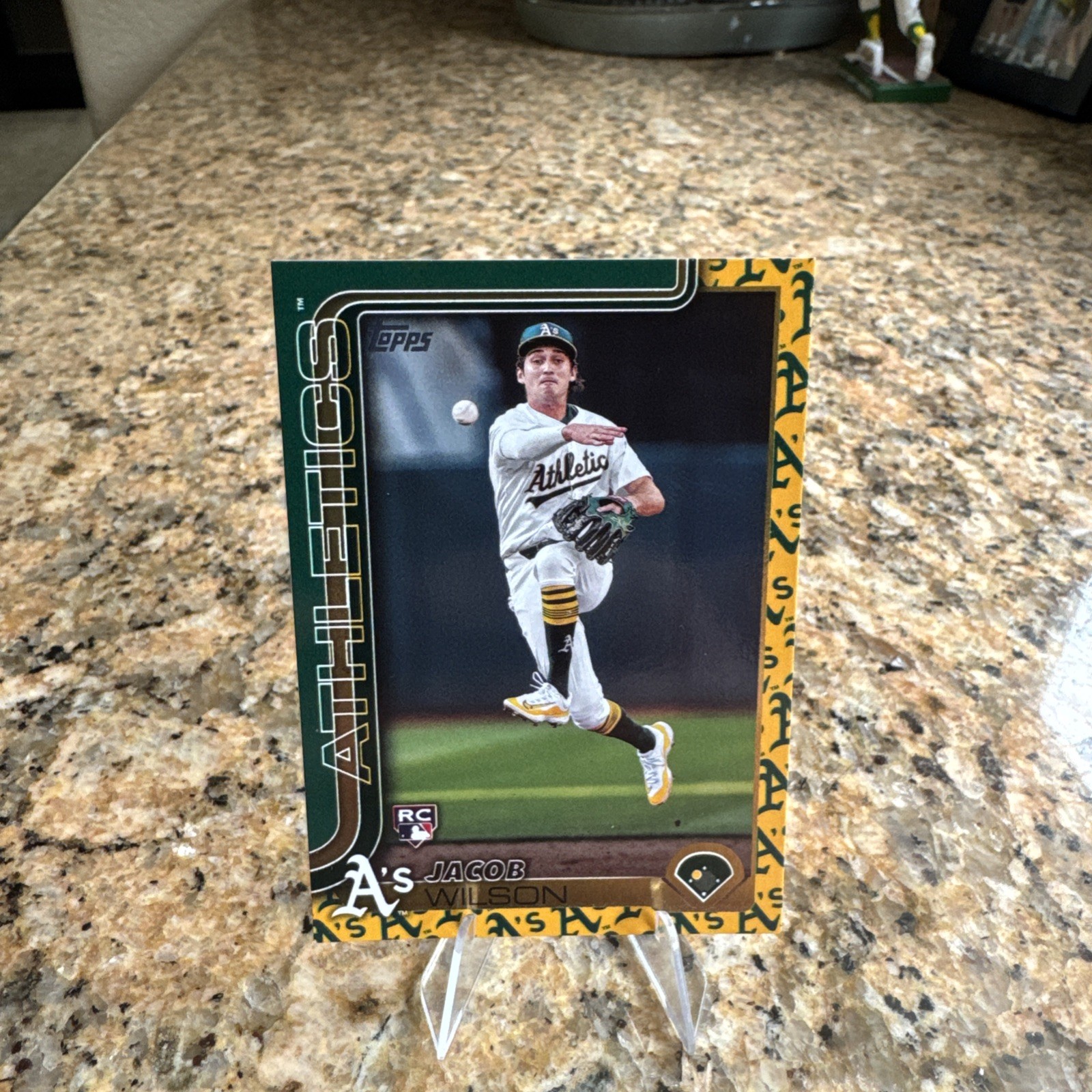 Jacob Wilson 2024 Topps Gold Foil RC Gold Foil - Trading Card Image