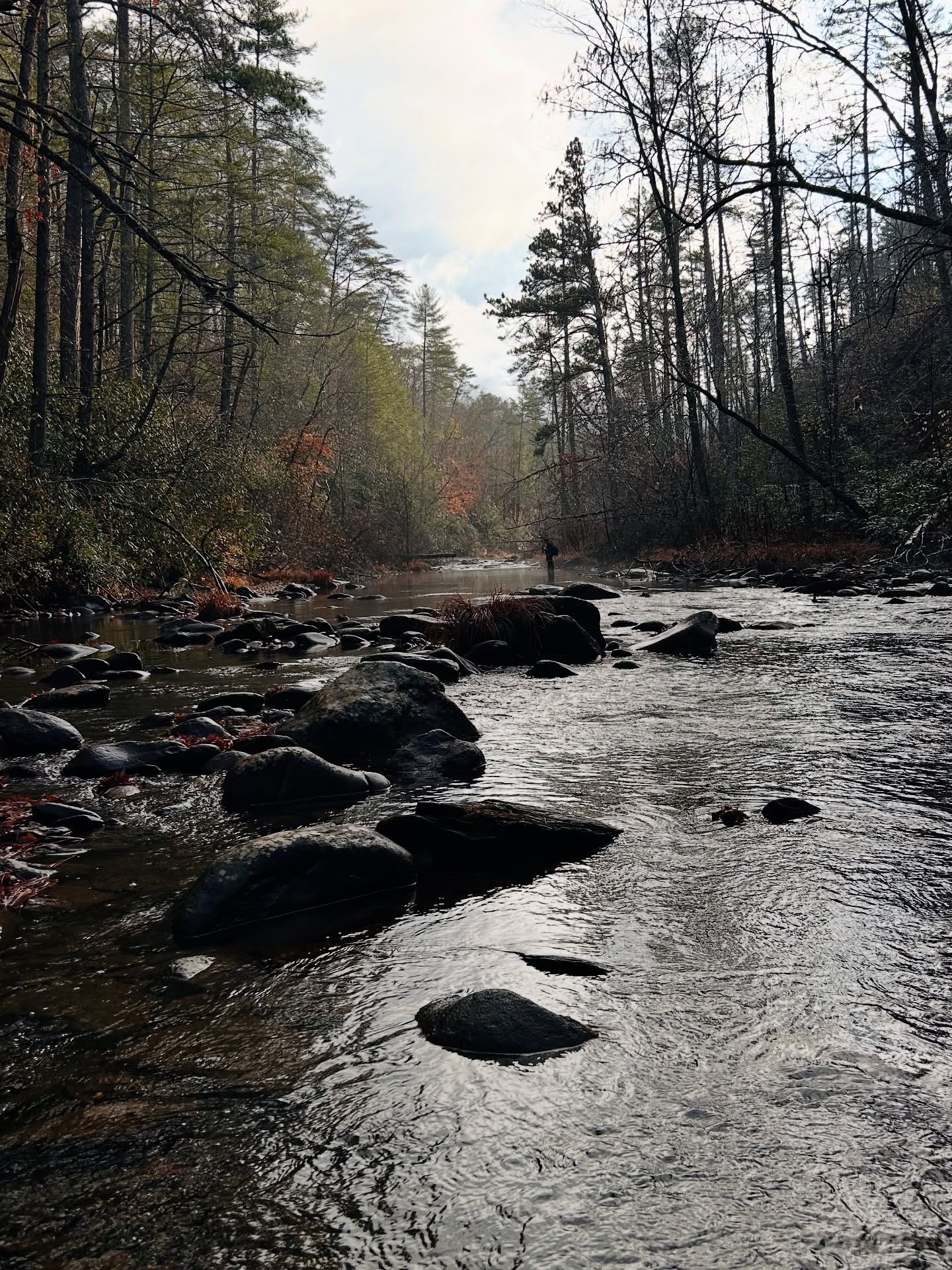 Jacks River Trail - Beech Bottom to Alaculsey Valley