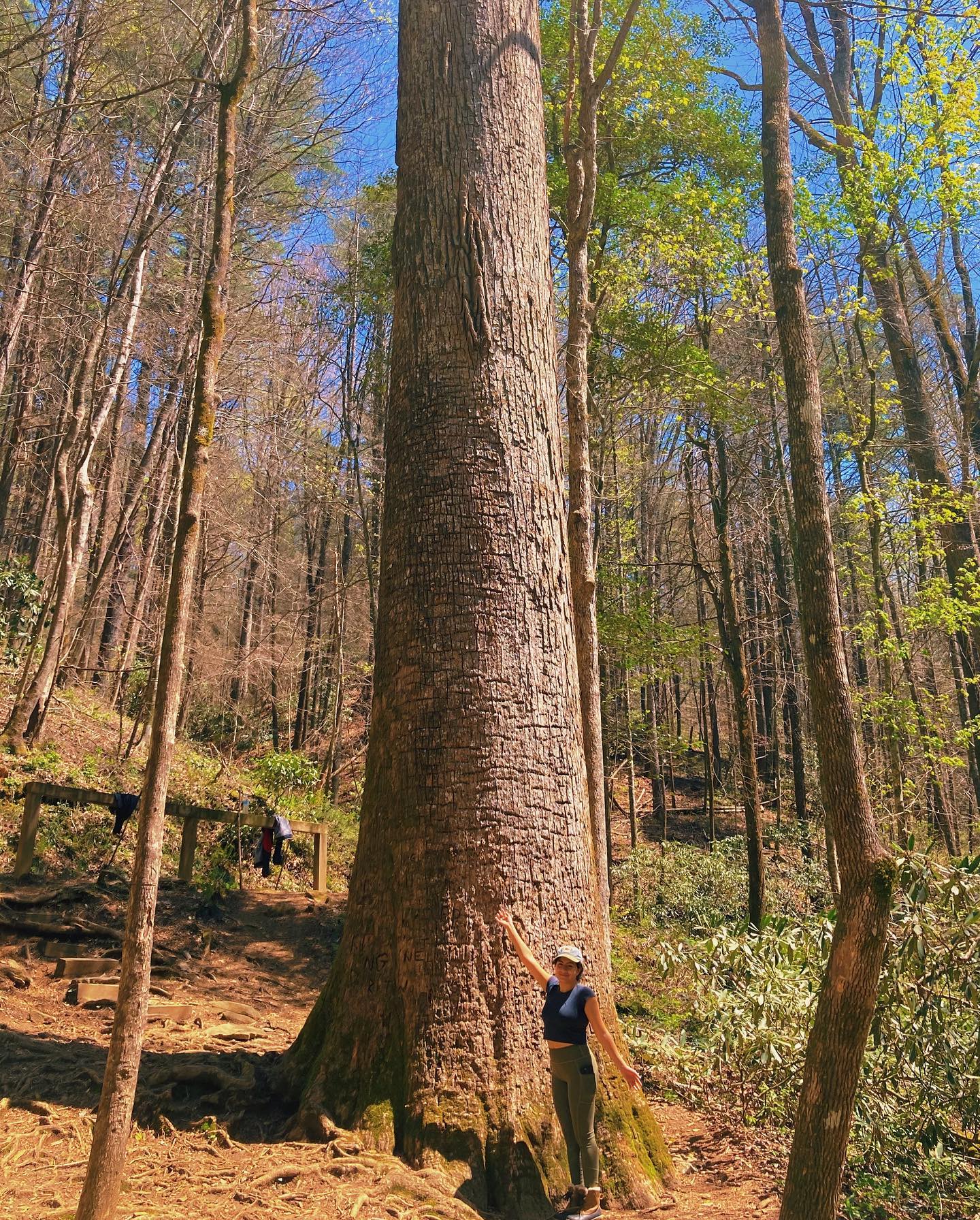 A Weekend in the Cohutta Country: How to Combine Everything Without Wasting the Trip