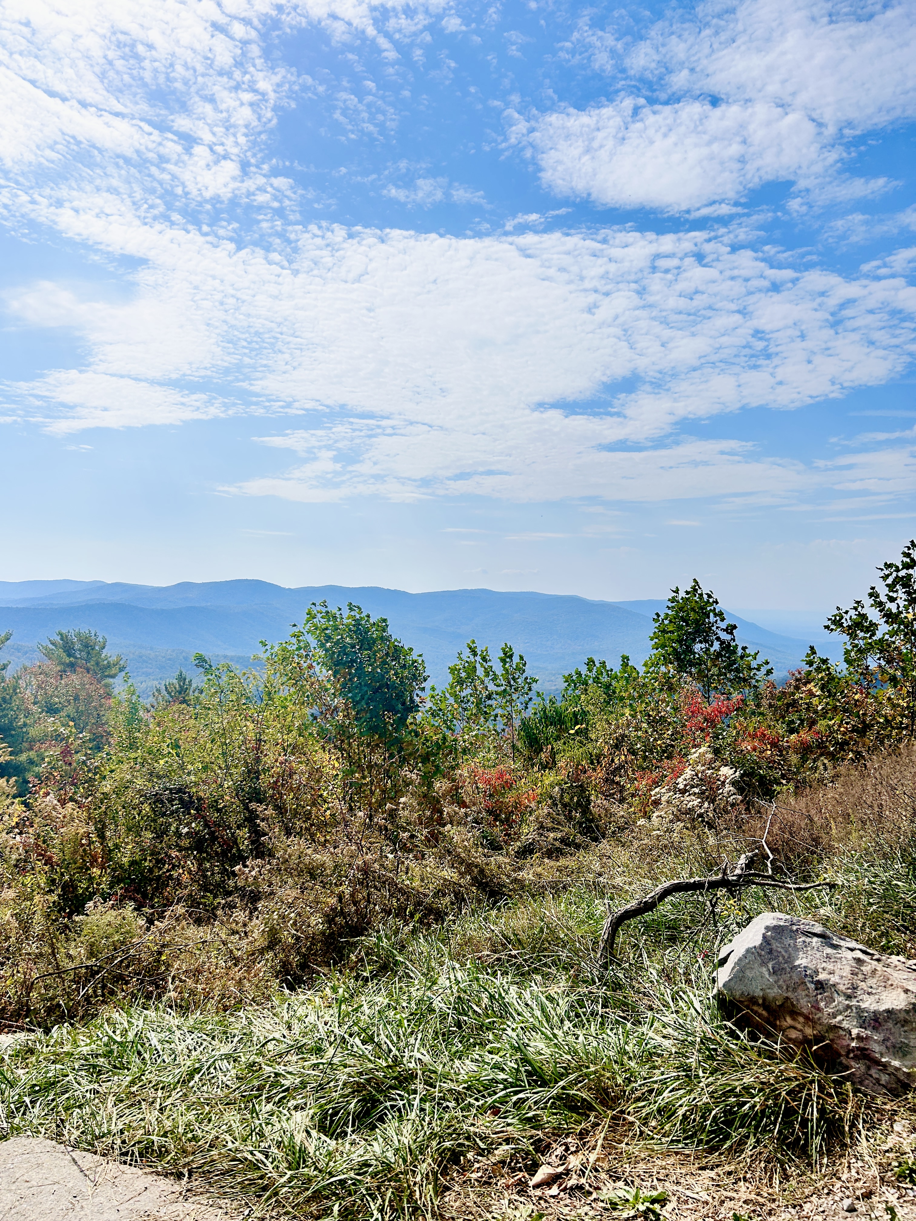 Bear Creek Trail & Overlook