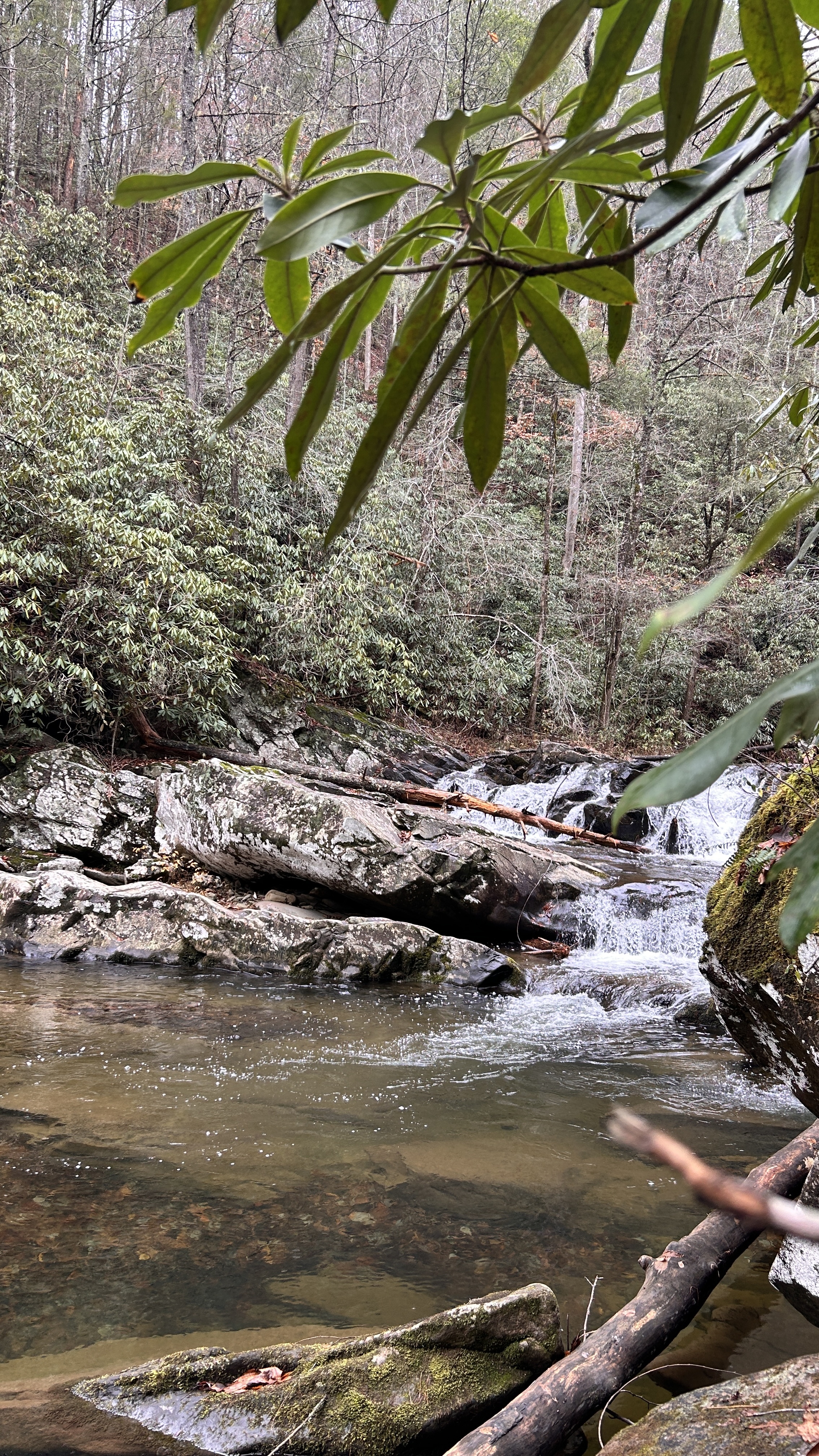 The drive to Sherpa Camp