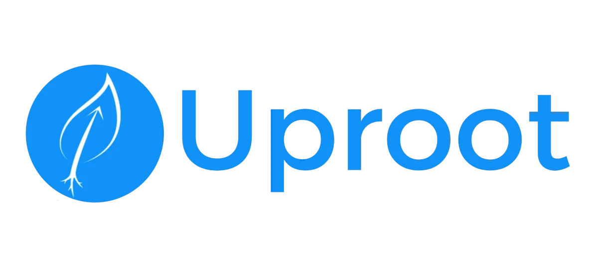 Digital Marketing Agency