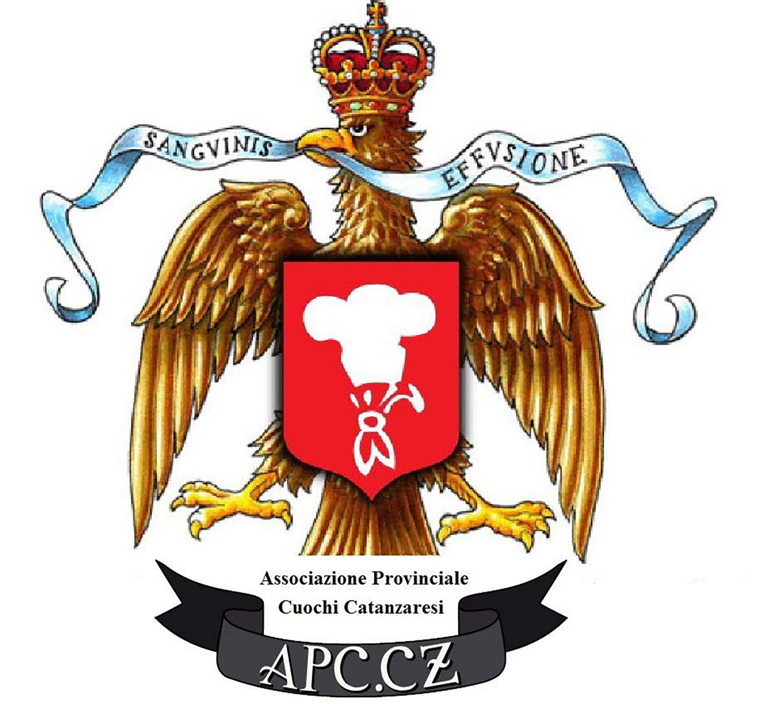 Associazione Provinciale Cuochi Catanzaresi