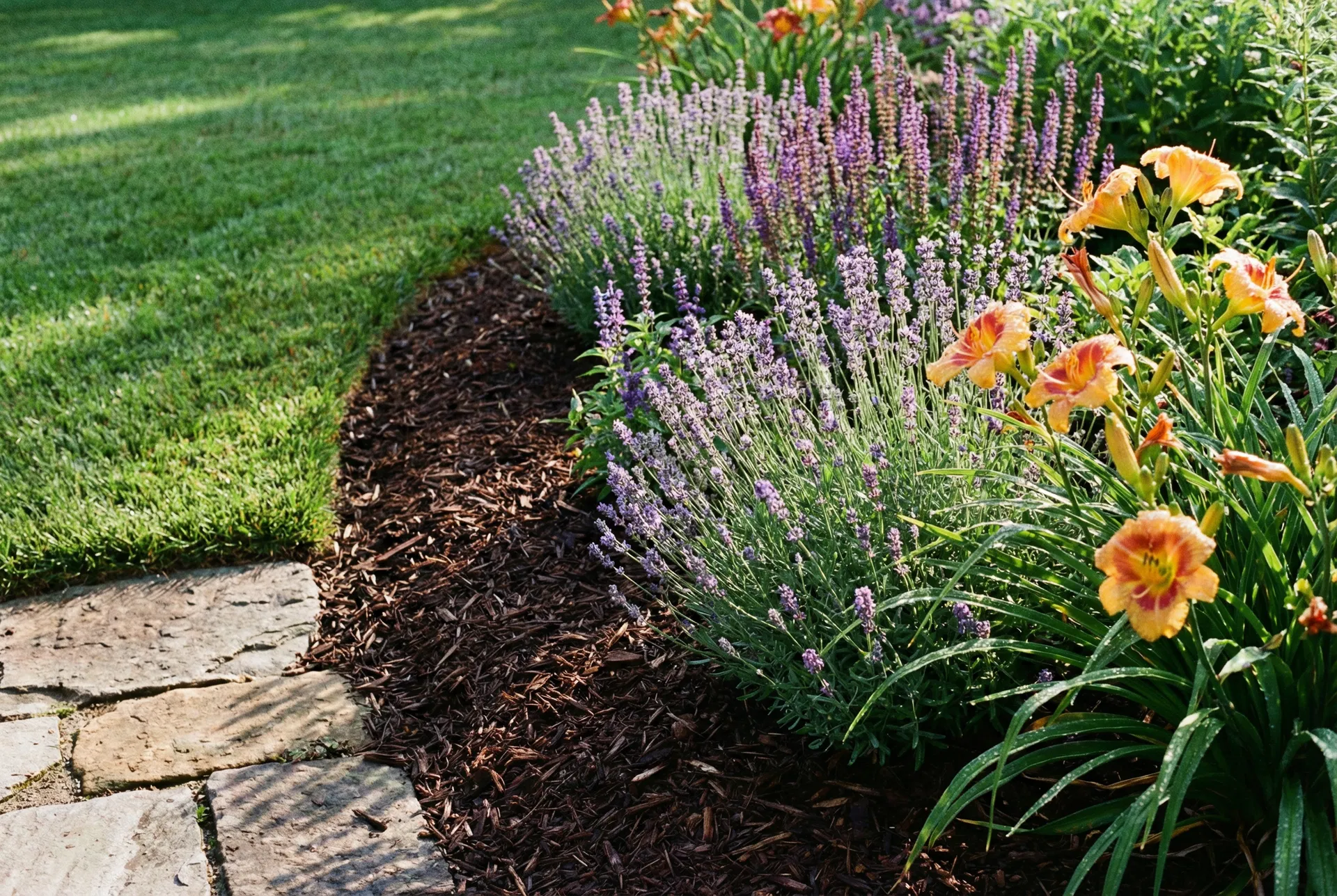 Garden Border Refresh