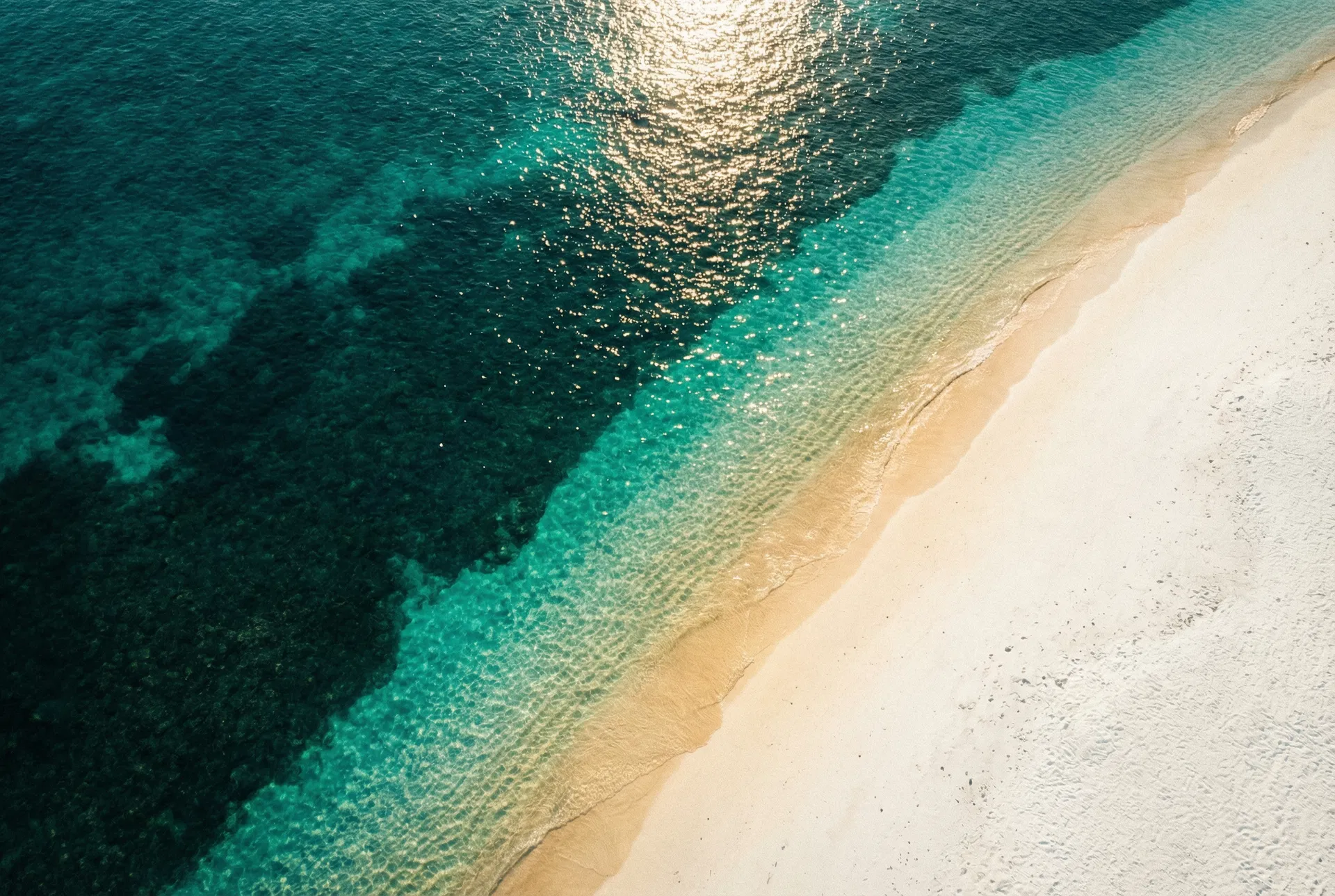 Oceano cristalino - liberdade e proteção