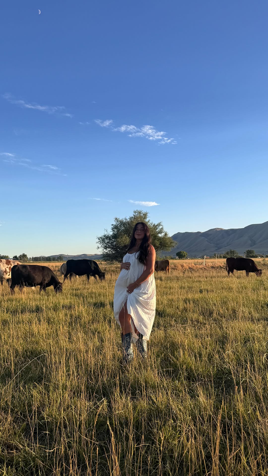 My Dreamy Utah Countryside Photoshoot (and why the cows were out to get me hahah)