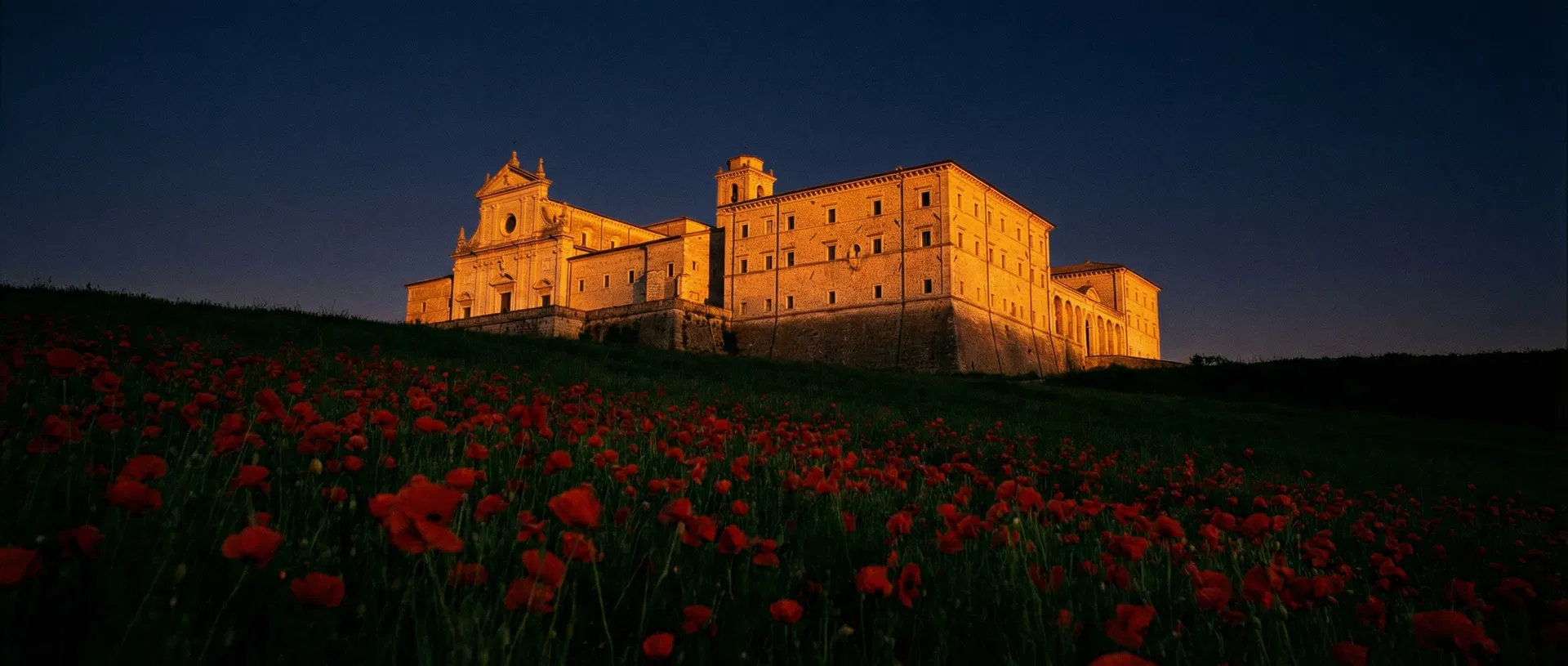 Klasztor Monte Cassino o zachodzie słońca z polem czerwonych maków