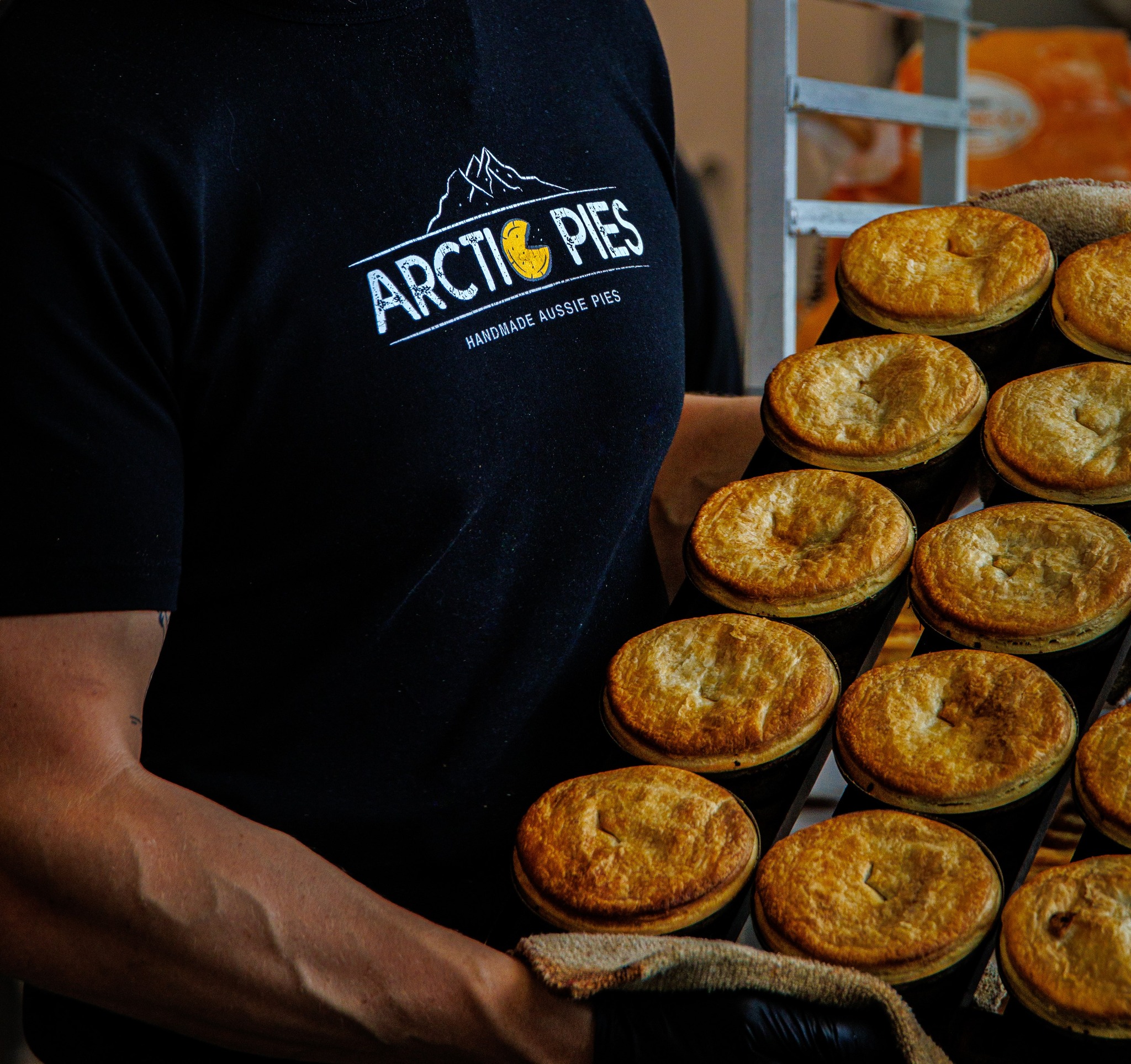 Arctic Pies mynd 2