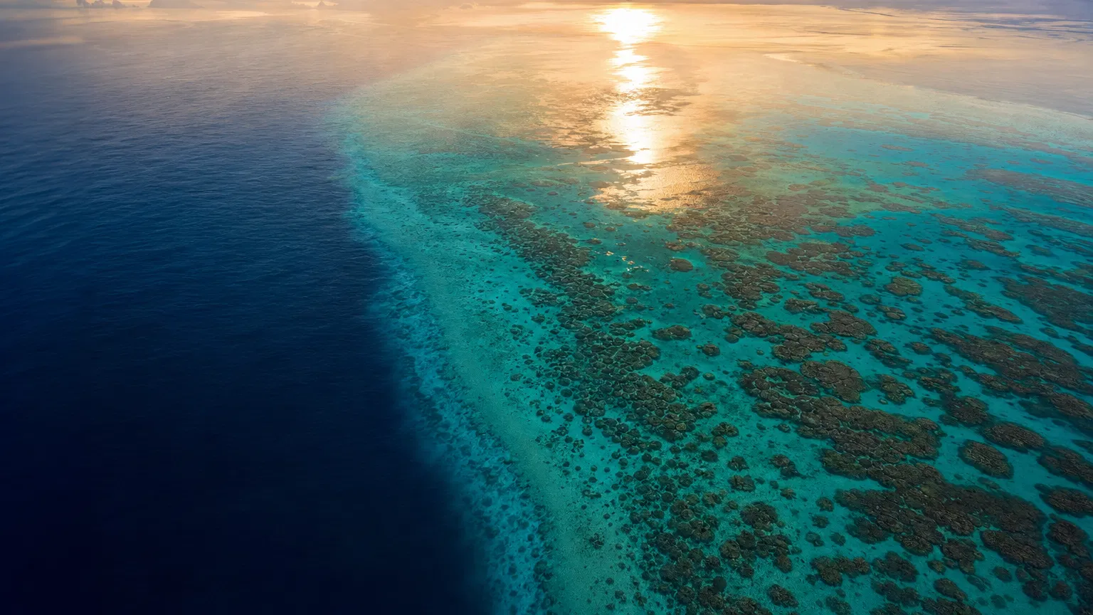 Aerial view of pristine coral reef ecosystem — the environment DockSkin protects