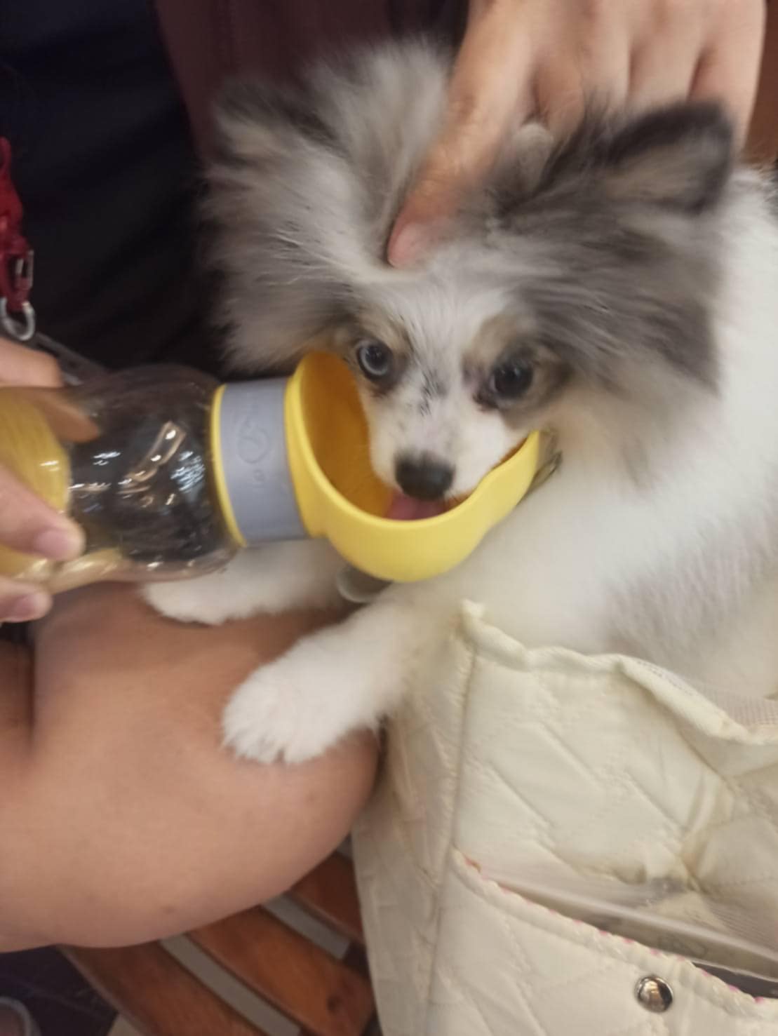 เทค์เชอร์ครัช