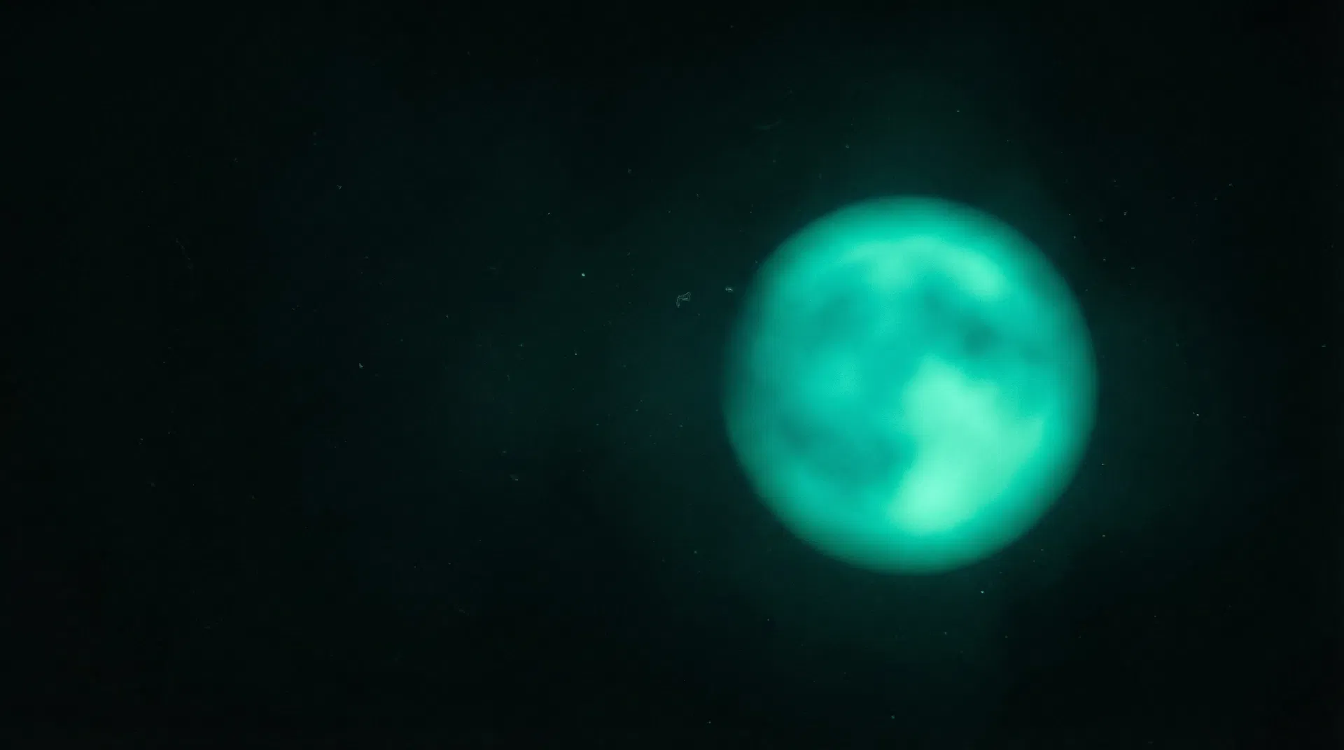 Dekorativer Lichteffekt