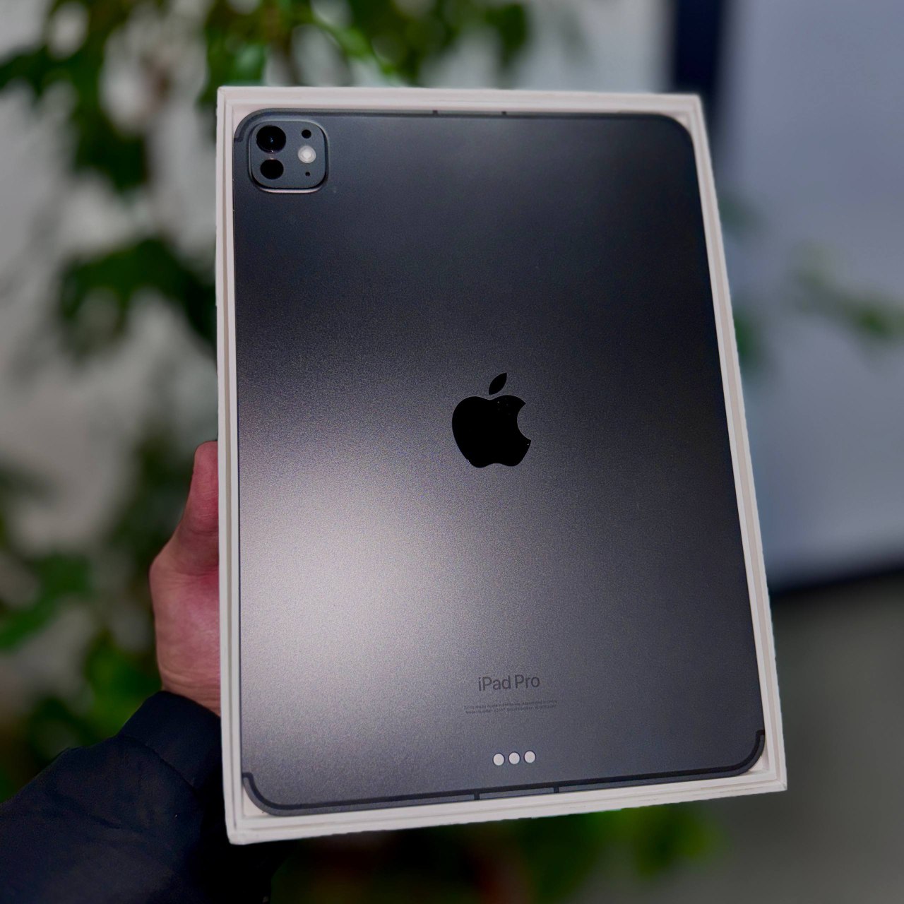 iPad Pro 11" 2024 M4 