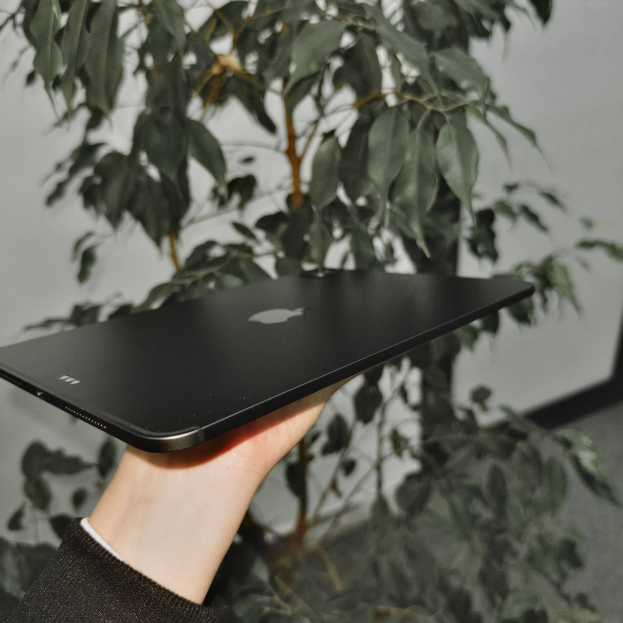 iPad Pro 11" 2024 M4  - миниатюра 6