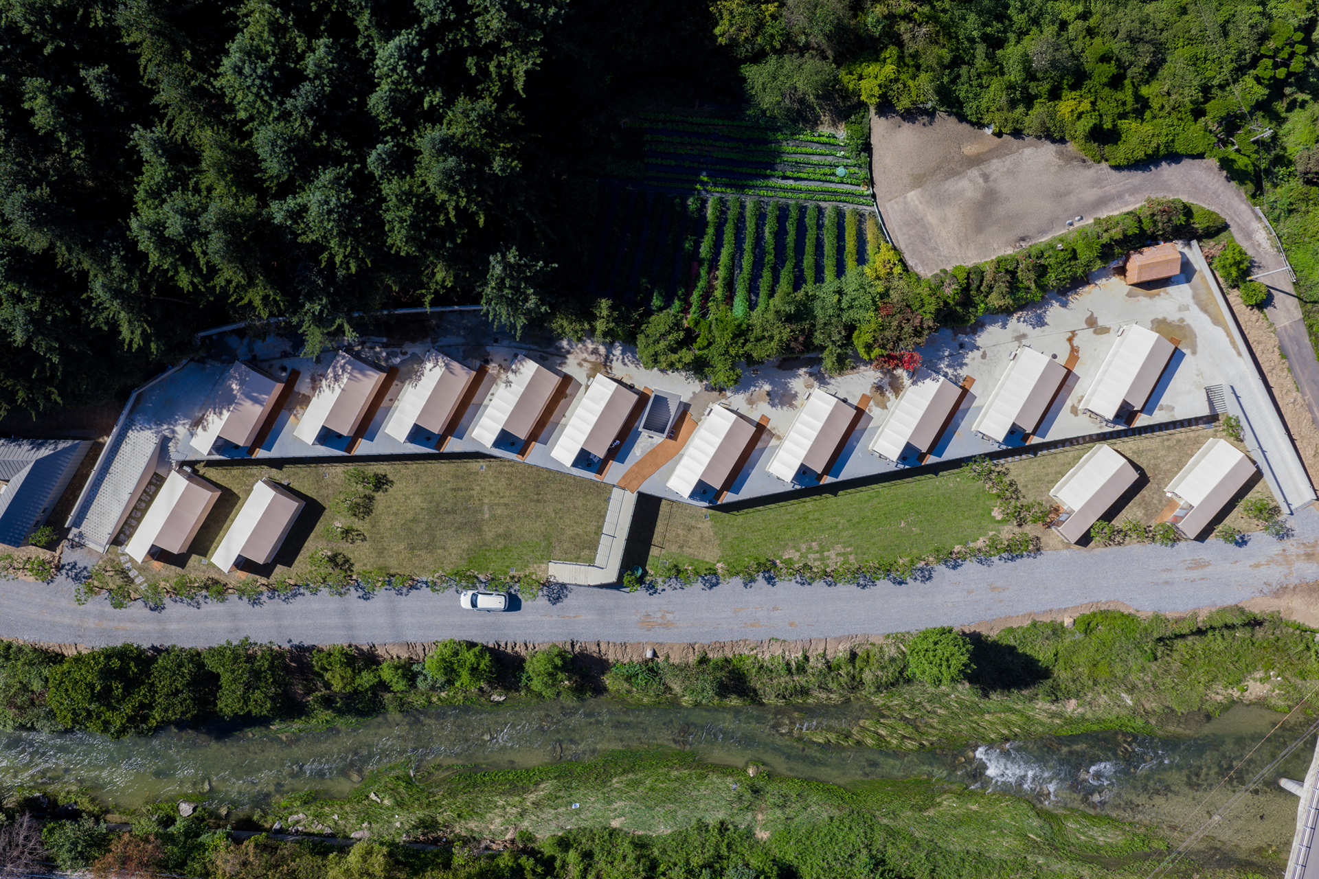 네스티아러닝크루