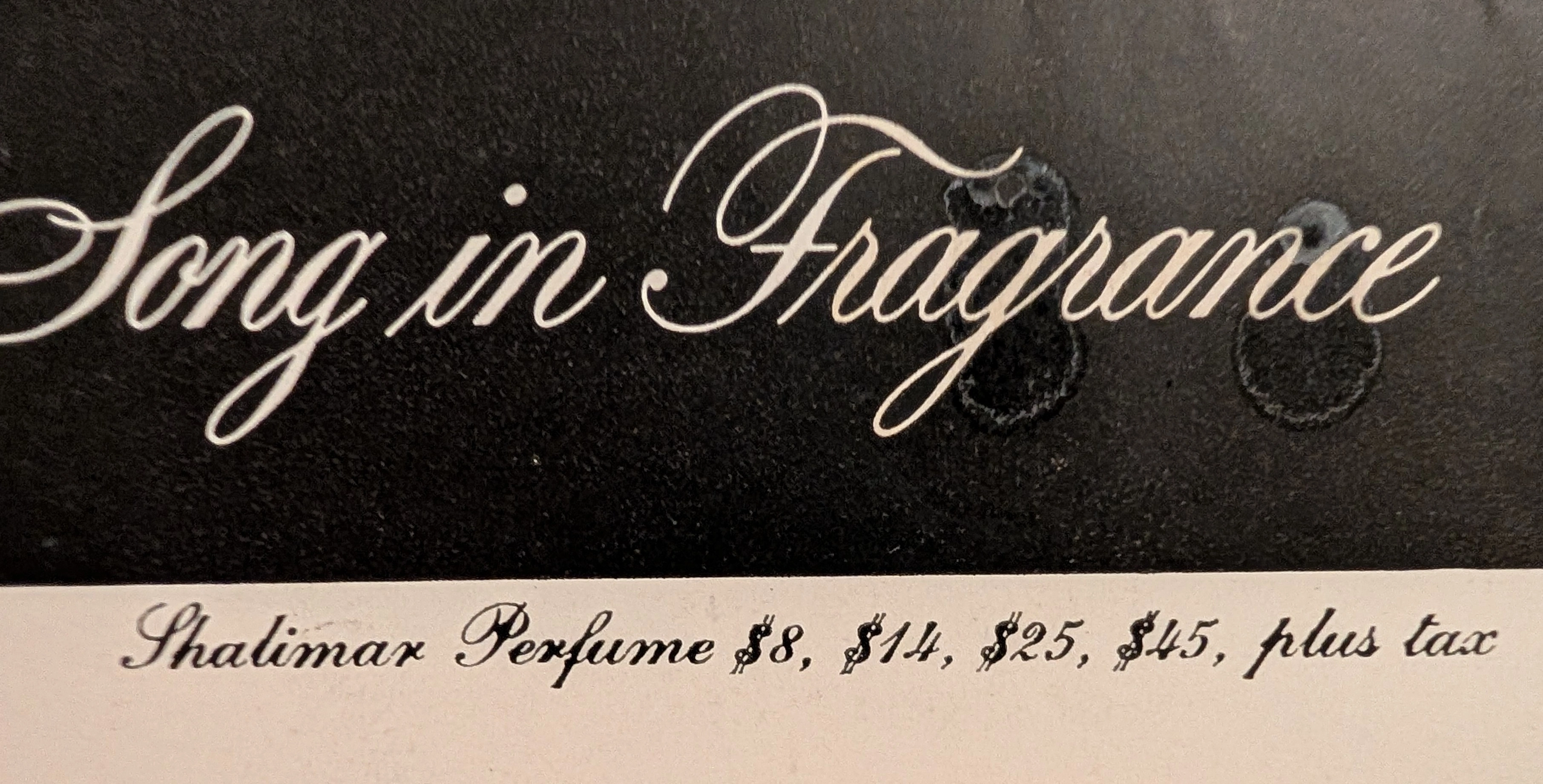 The Time Traveller's Dossier: The Architecture of Desire – Guerlain "Shalimar" Advertisement (Circa Mid-20th Century) — detail 3