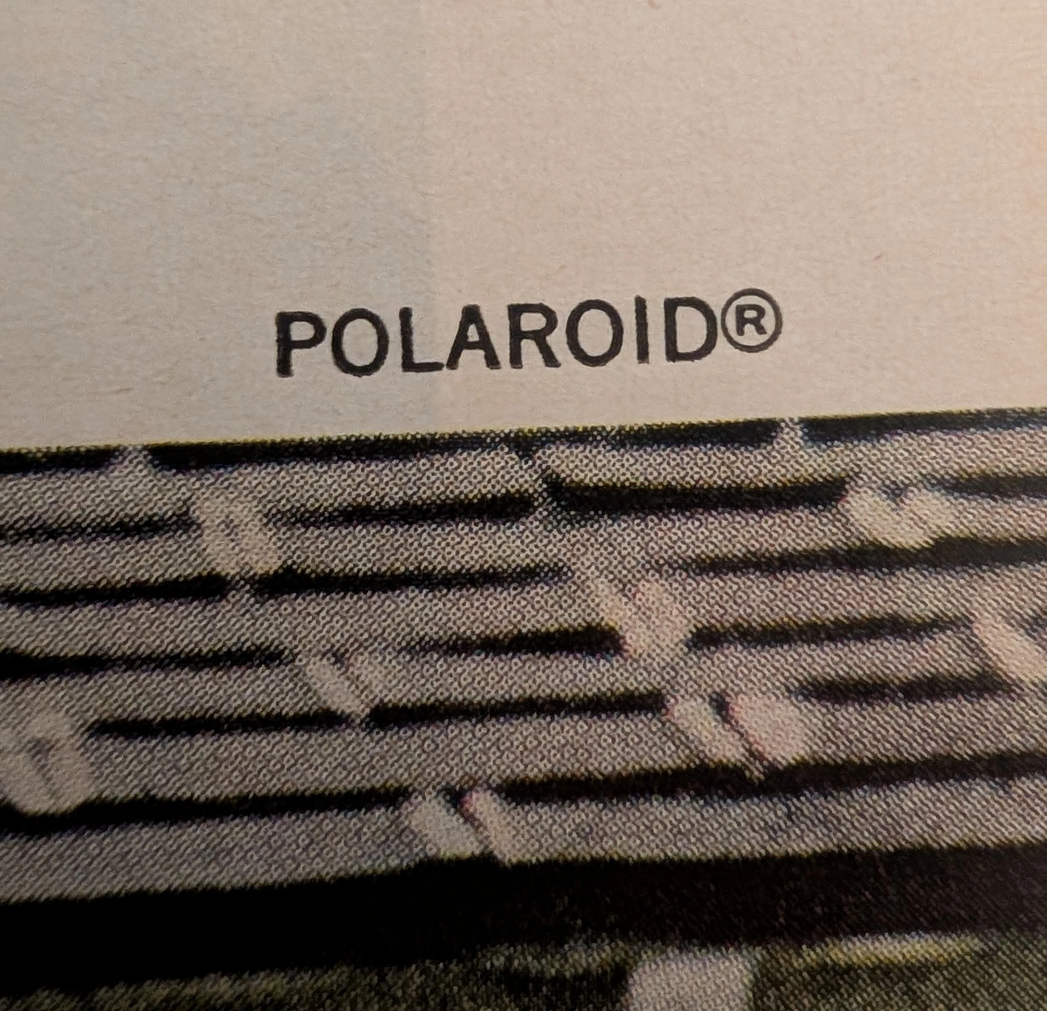 The Time Traveller's Dossier: The Instant Gratification Protocol – The Polaroid Color Pack Camera Exhibitio — detail 3