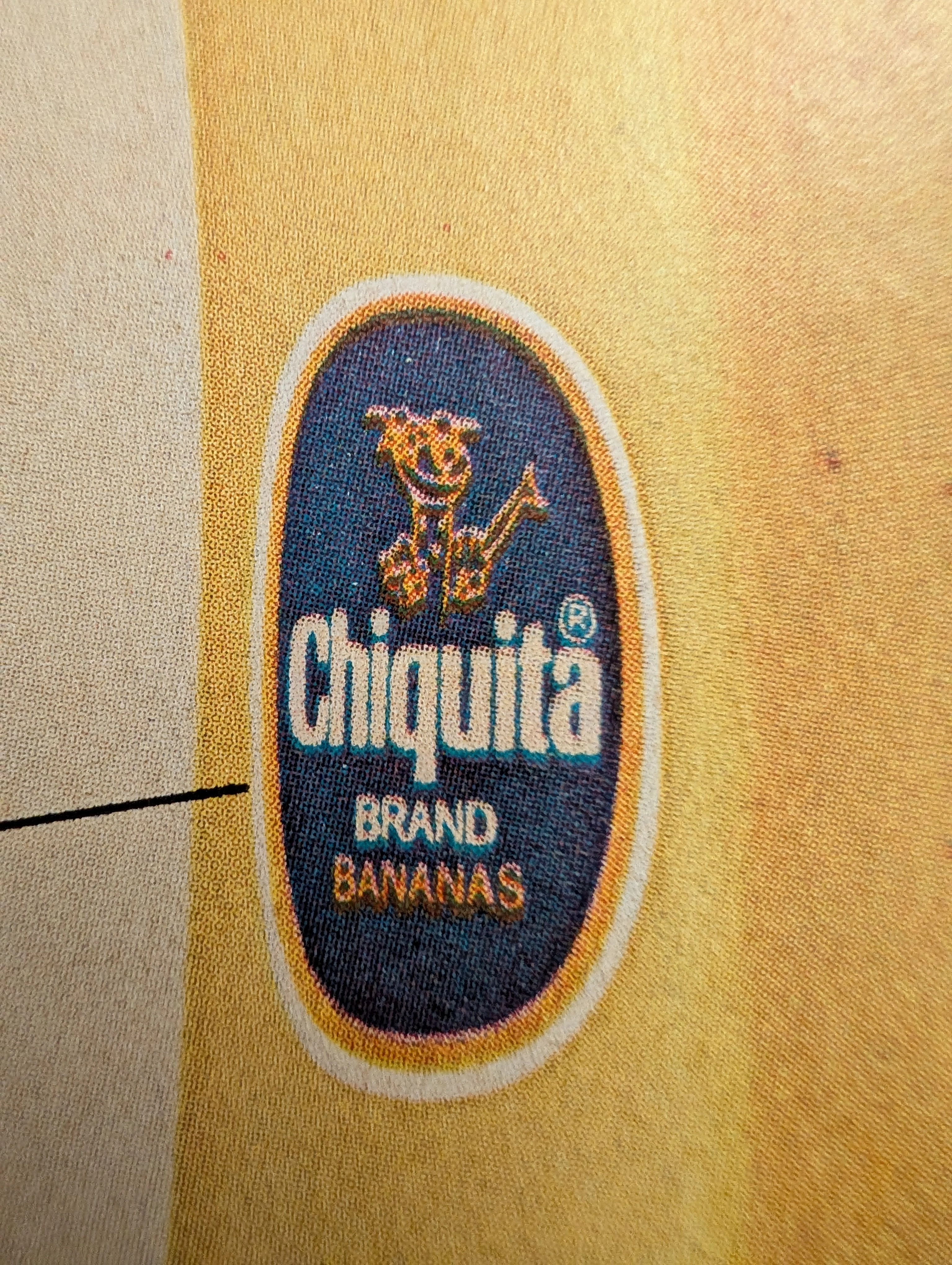 The Time Traveller's Dossier: The Anatomy of a Commodity – Chiquita's "How to read a banana" and the Invention of Produce Branding — The Record Institute Journal