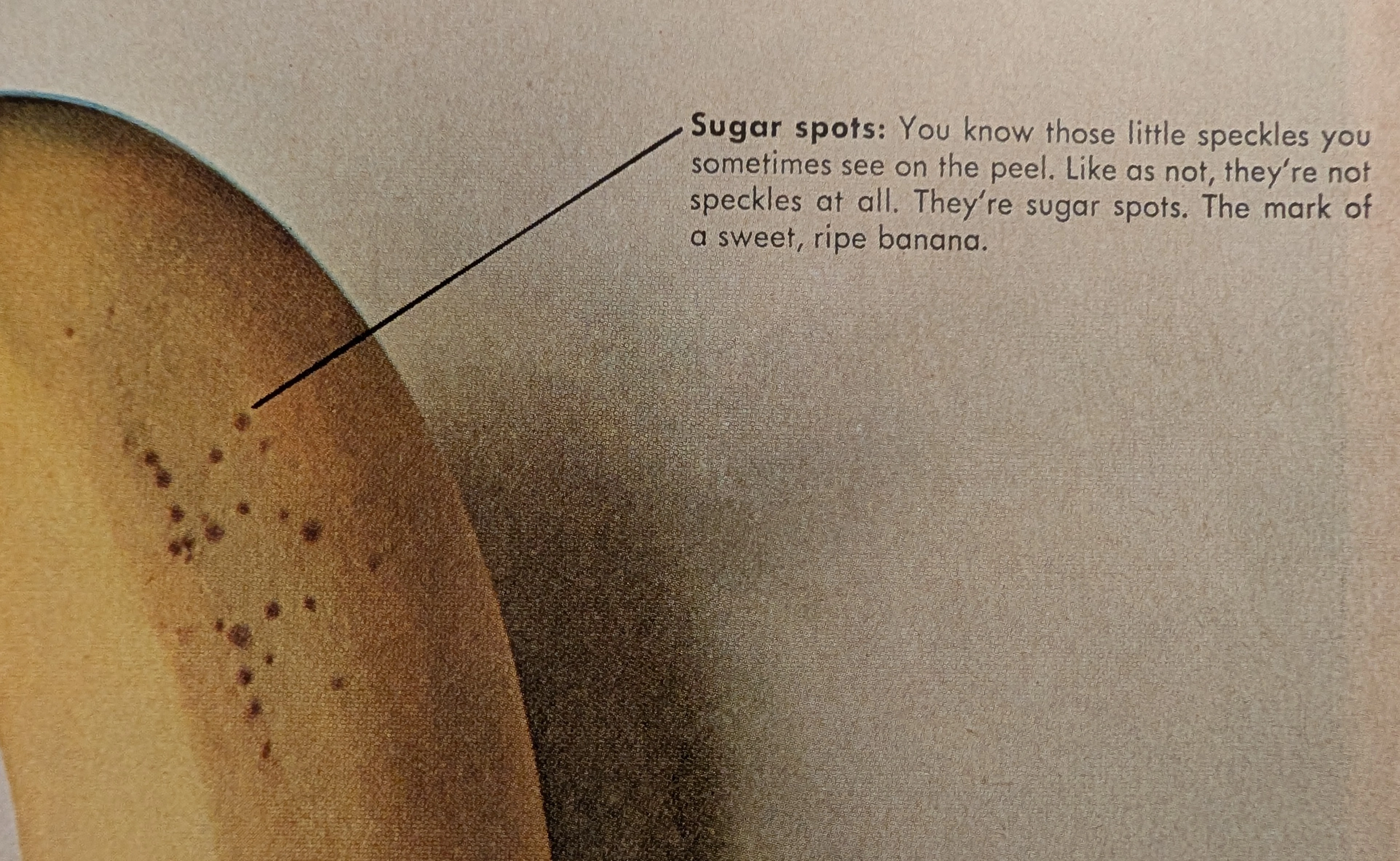 The Time Traveller's Dossier: The Anatomy of a Commodity – Chiquita's "How to read a banana" and the Invention of Produce Branding — The Record Institute Journal