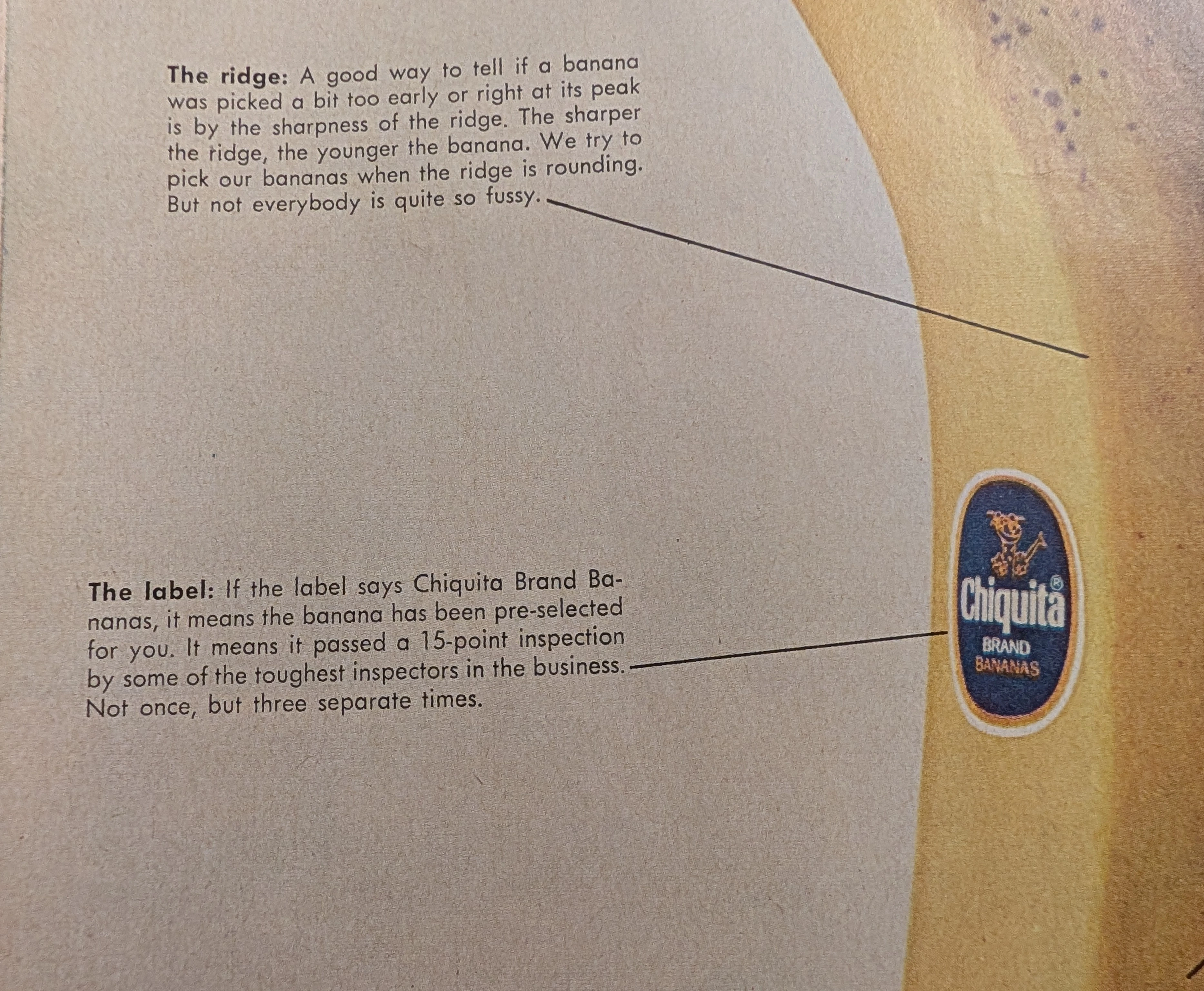 The Time Traveller's Dossier: The Anatomy of a Commodity – Chiquita's "How to read a banana" and the Invention of Produce Branding — The Record Institute Journal