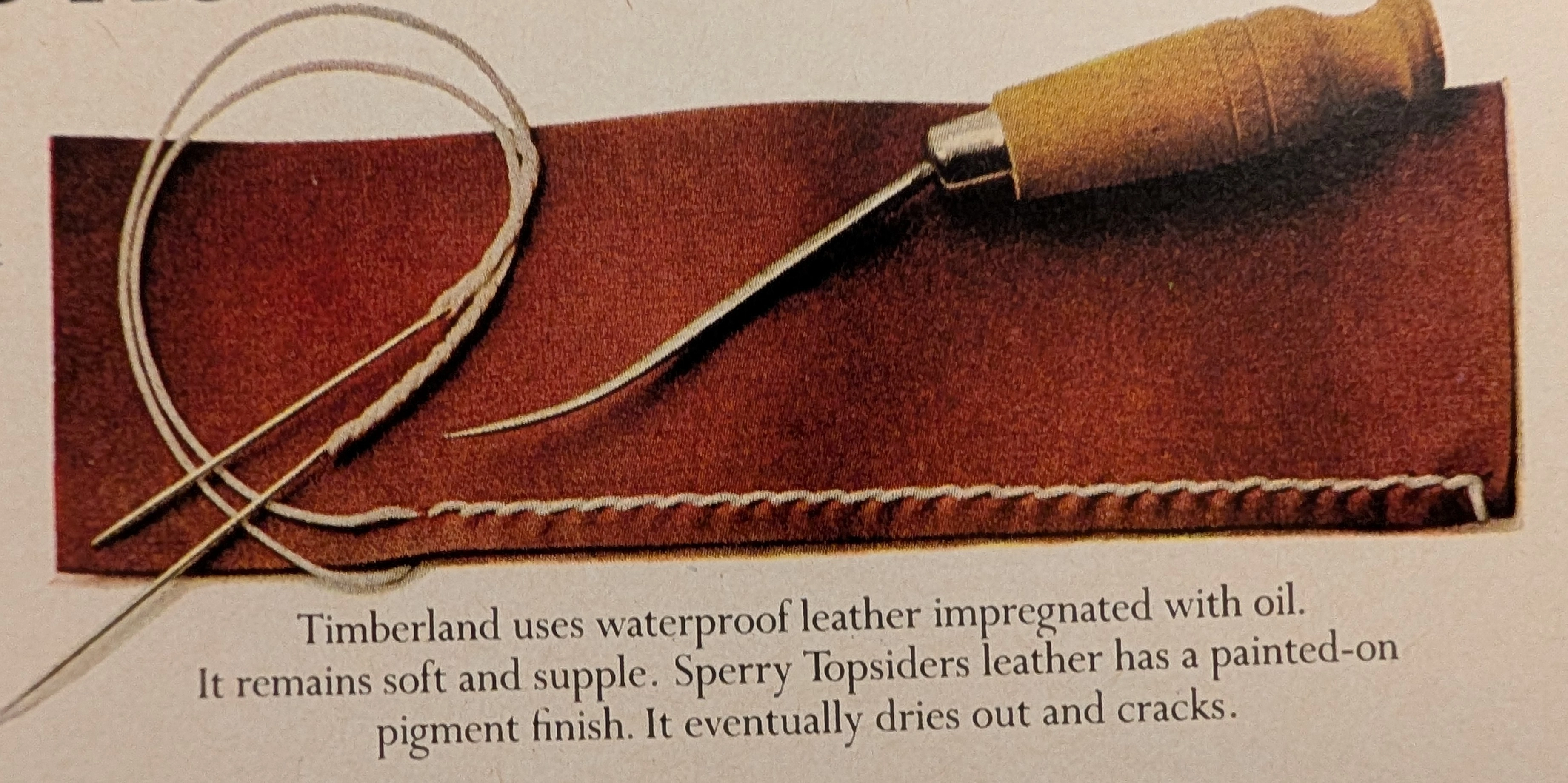 The Time Traveller's Dossier: Terrestrial Navigation – The Timberland Boat Shoe and the Evolution of Amphibious Footwear — The Record Institute Journal