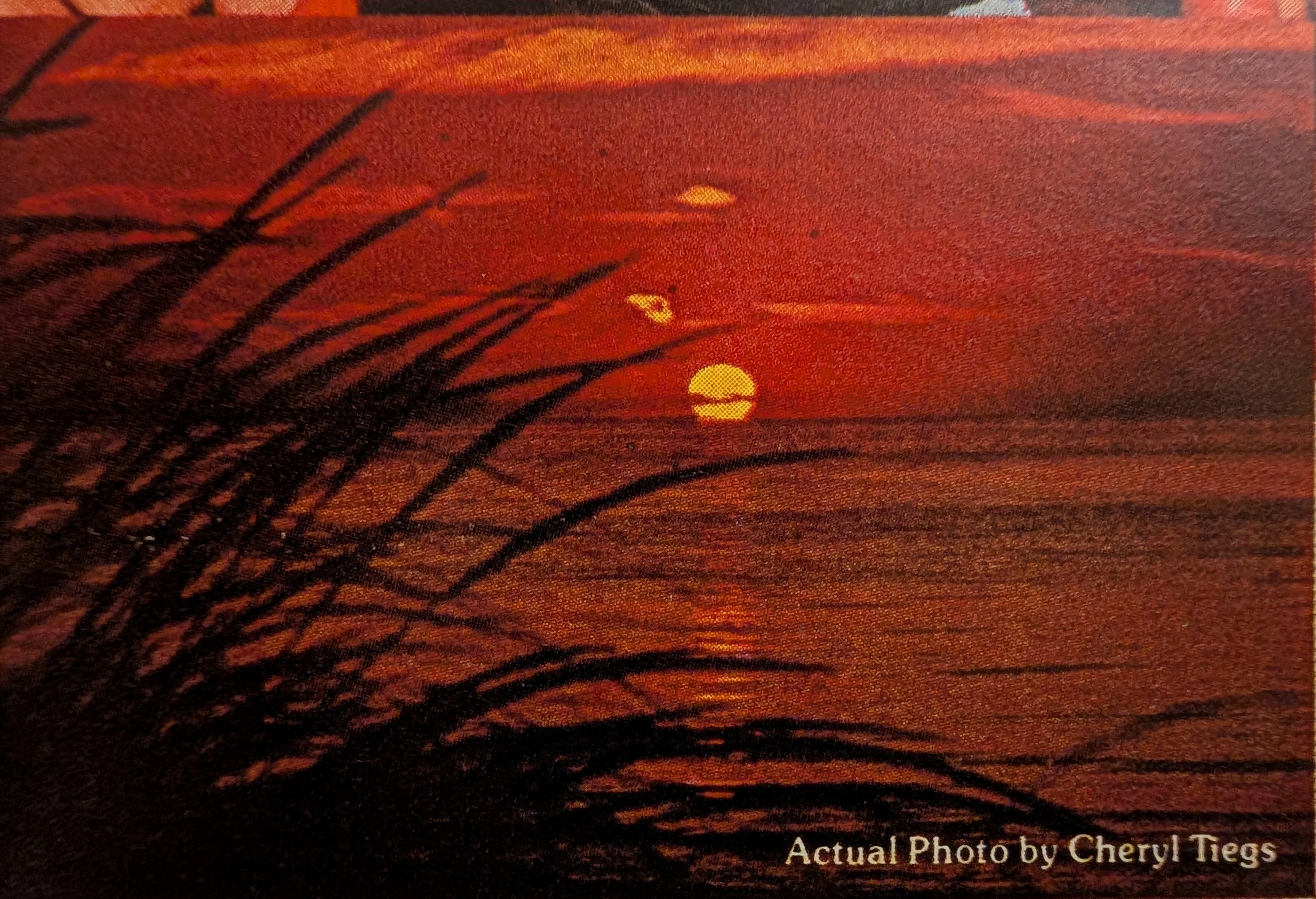 1980 Olympus OM-10 Camera Vintage Advertisement — Thumbnail 4