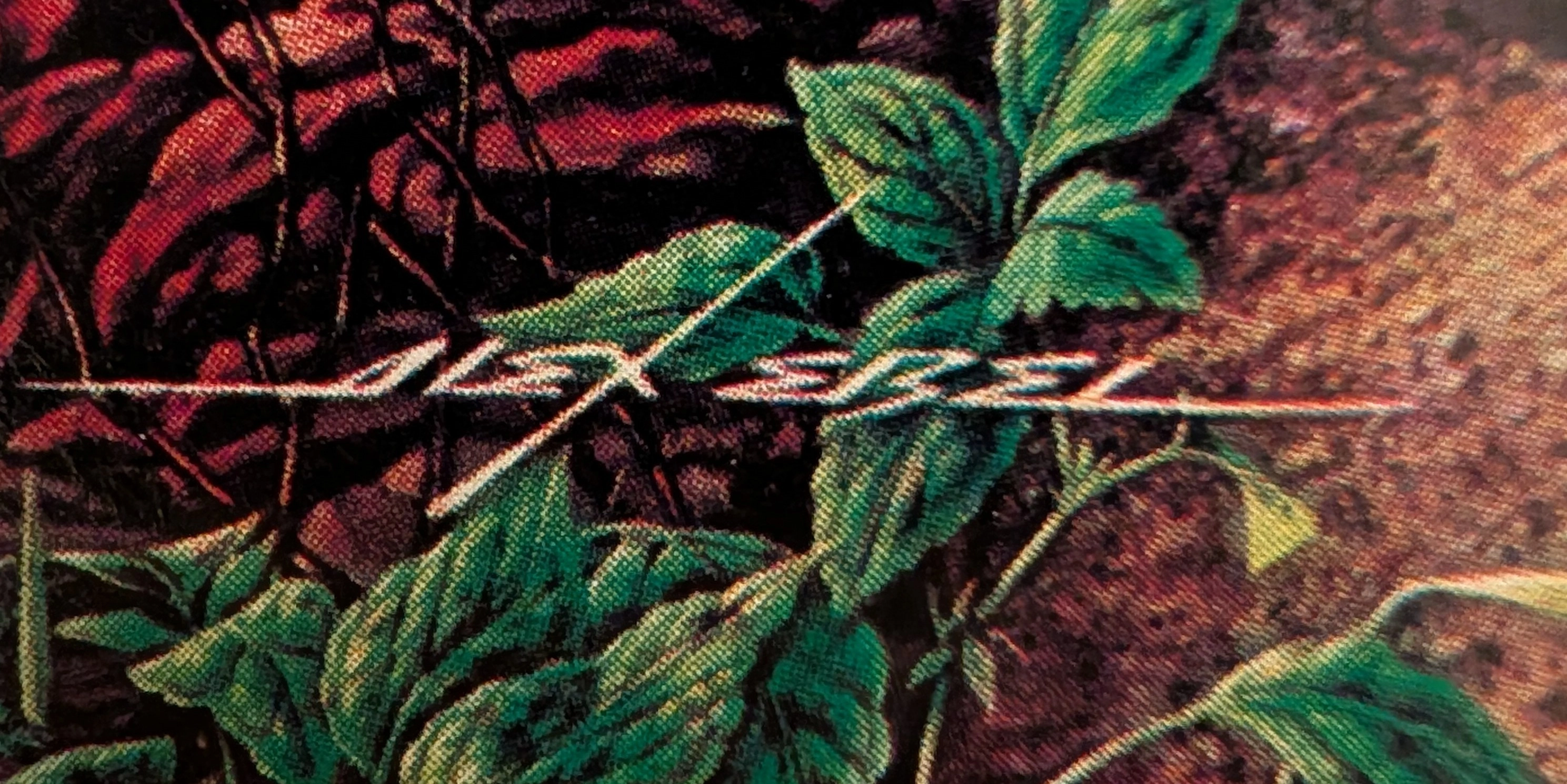 The Time Traveller’s Dossier: 1981 Nocona Boots Vintage Advertisement — The Hyper-Masculine Mythos of the American West — The Record Institute Journal The Time Traveller’s Dossier: 1981 Nocona Boots Vintage Advertisement — The Hyper-Masculine Mythos of the American West — The Record Institute Journal