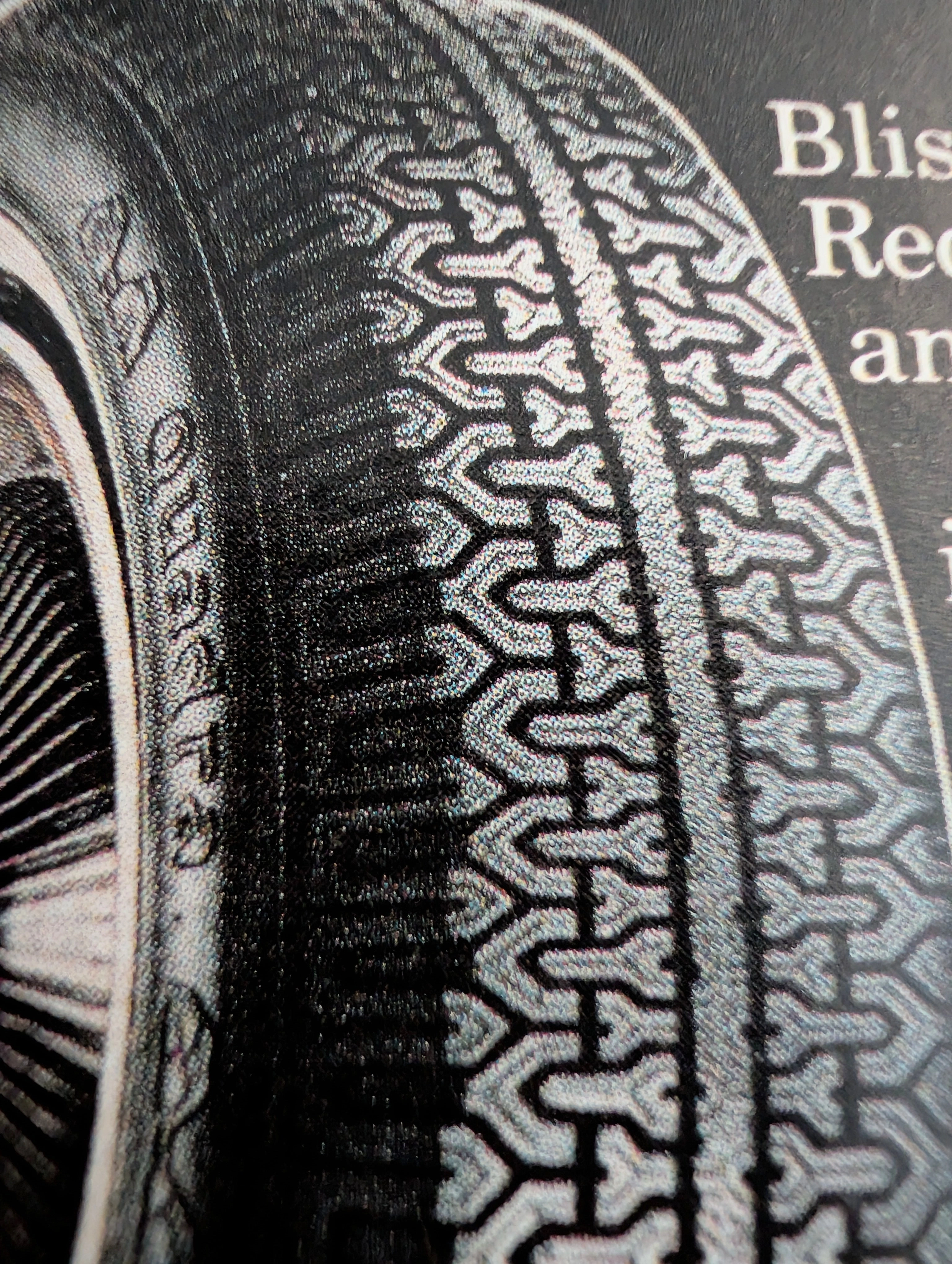 The Time Traveller's Dossier : 1970 Dayton Quadra - The Radial Shift — The Record Institute Journal The Time Traveller's Dossier : 1970 Dayton Quadra - The Radial Shift — The Record Institute Journal