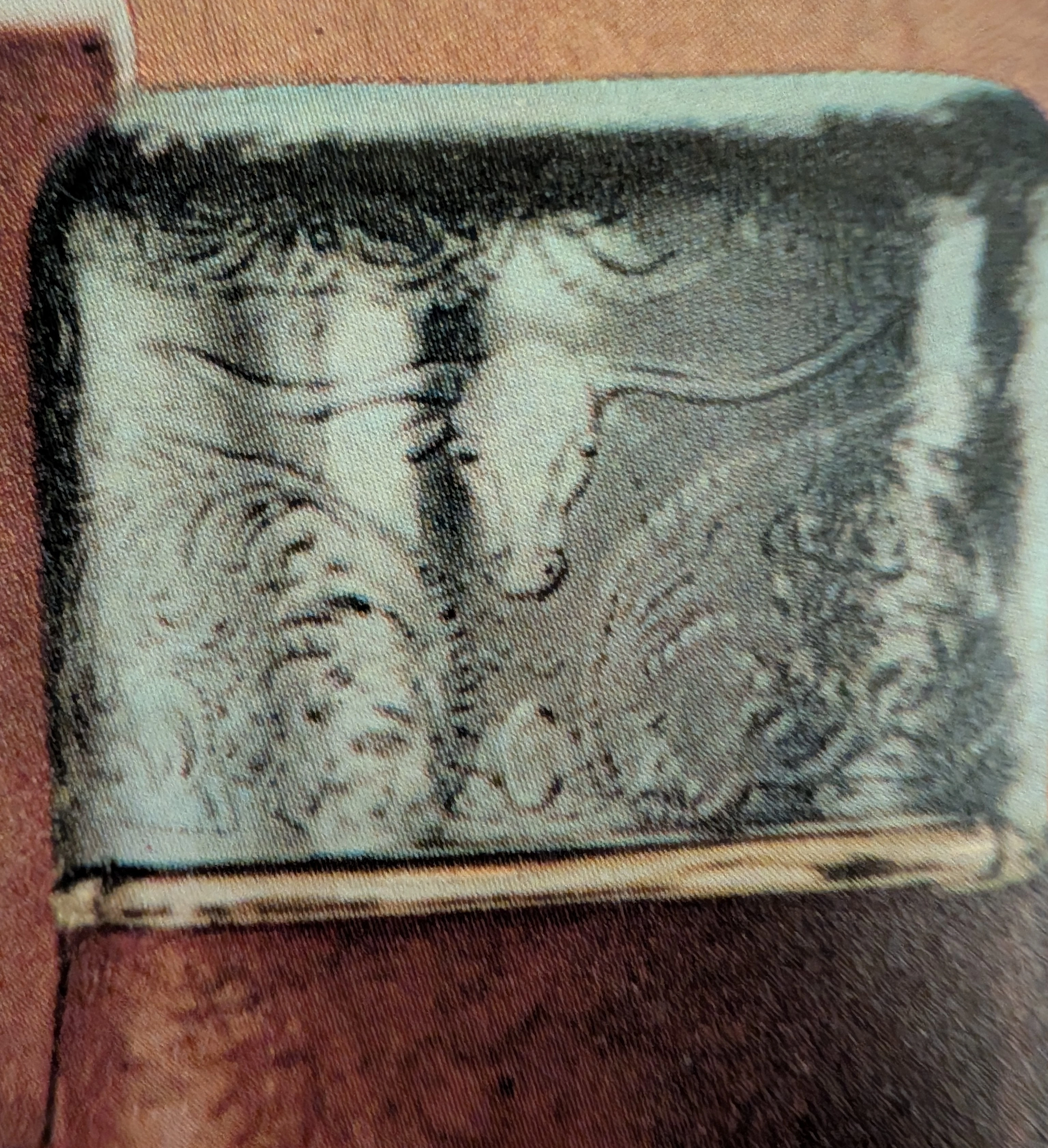 The Time Traveller's Dossier : Chaps Ralph Lauren - The Western Shift in Masculinity — The Record Institute Journal The Time Traveller's Dossier : Chaps Ralph Lauren - The Western Shift in Masculinity — The Record Institute Journal