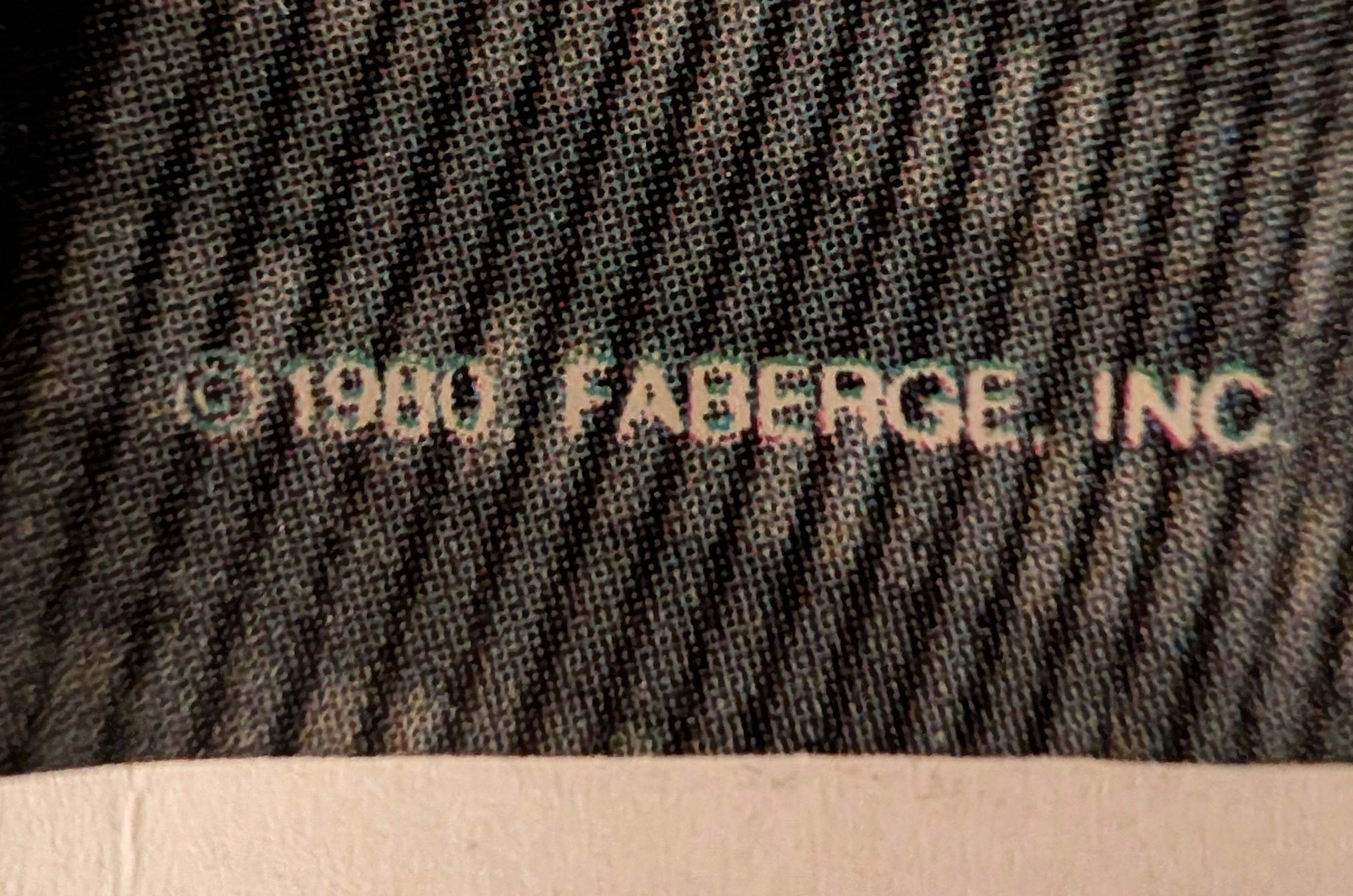 The Time Traveller's Dossier : Brut 1980 - The Grooming Shift — The Record Institute Journal