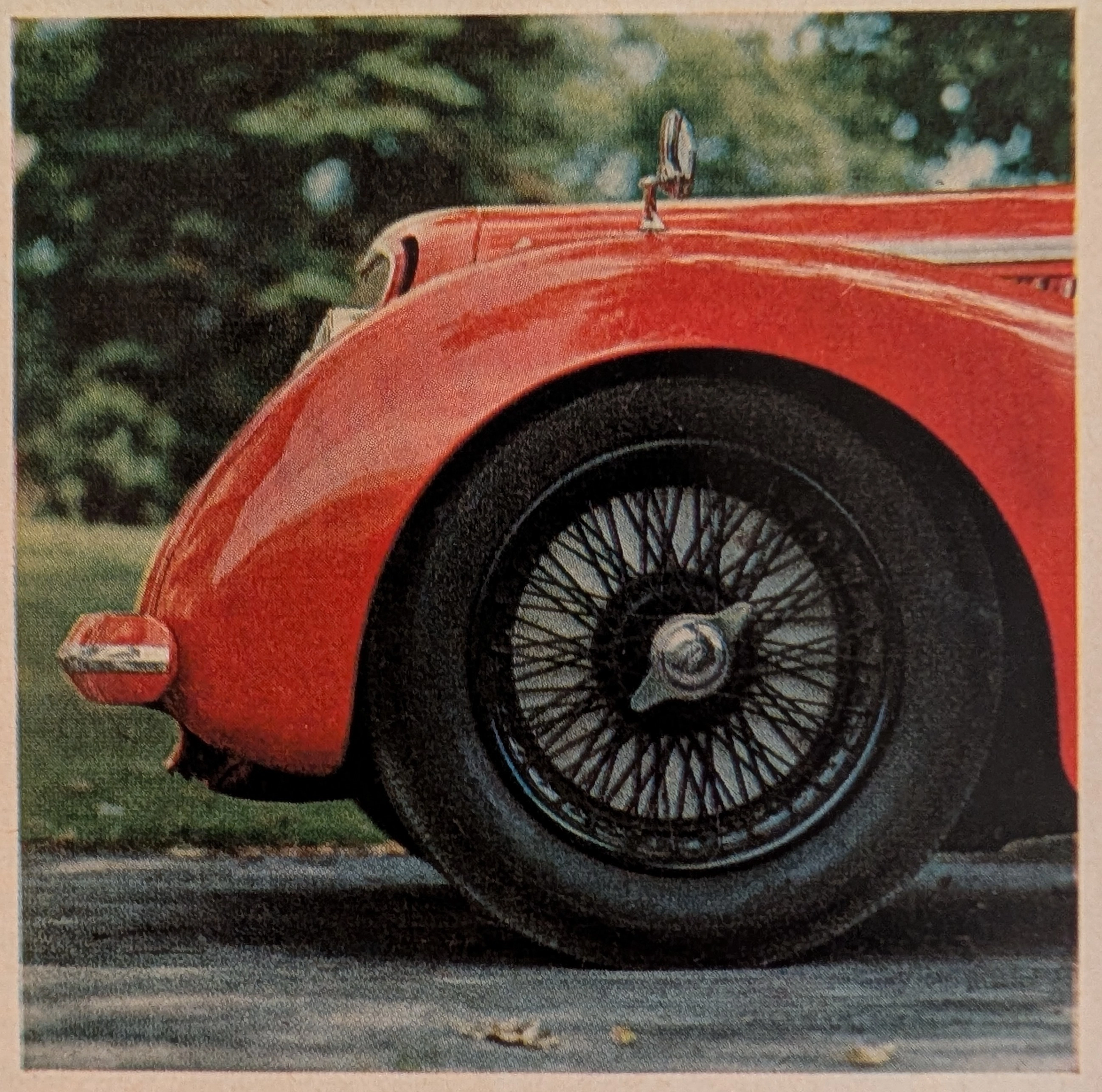 The Time Traveller's Dossier : Alfa Romeo 8C 2900B Touring Berlinetta - The Apex of Pre-War Velocity — The Record Institute Journal