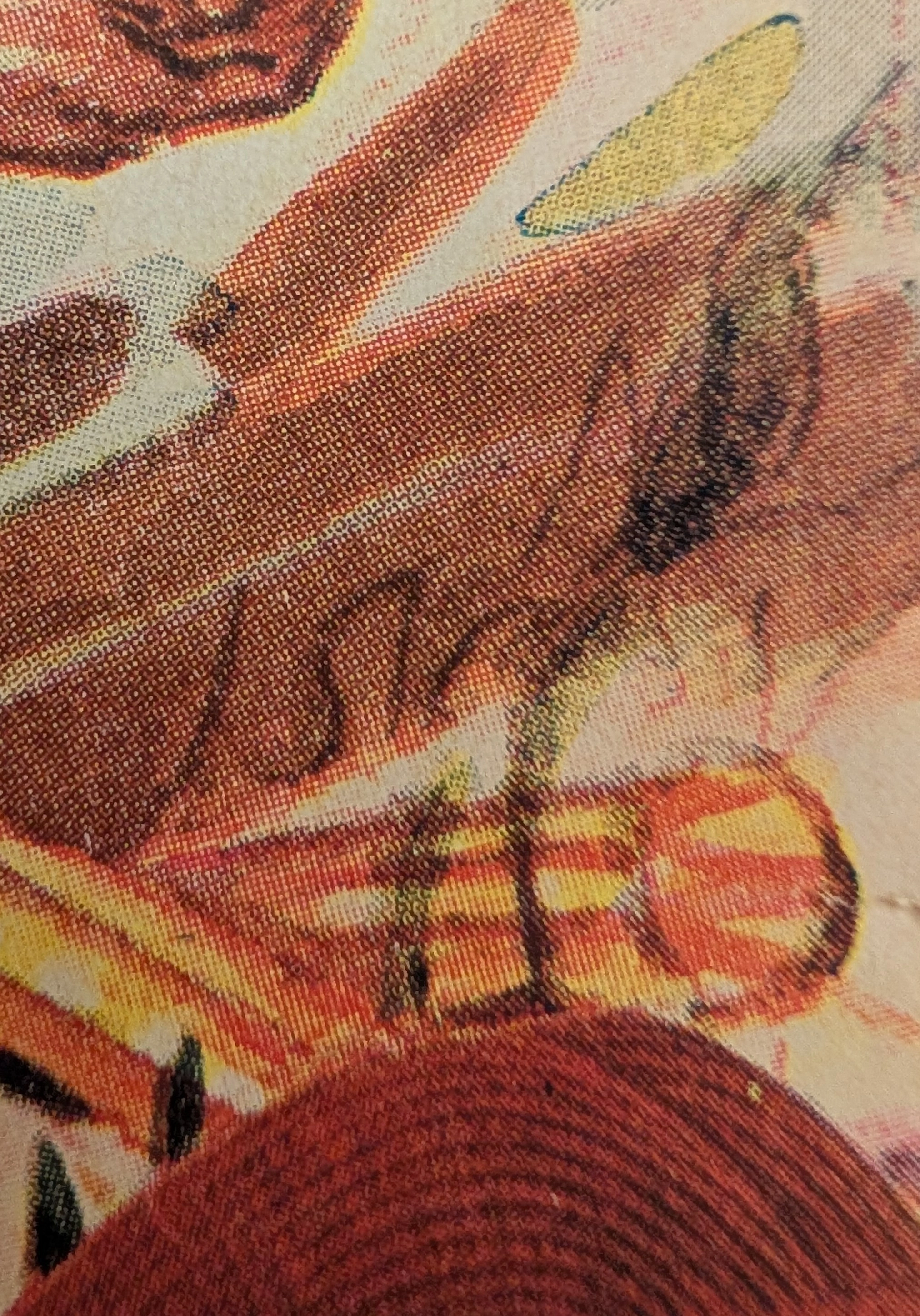 시간 여행자의 기록 보관소 : 1943년 Interwoven 양말 - 전시 인내의 직물 — The Record Institute Journal